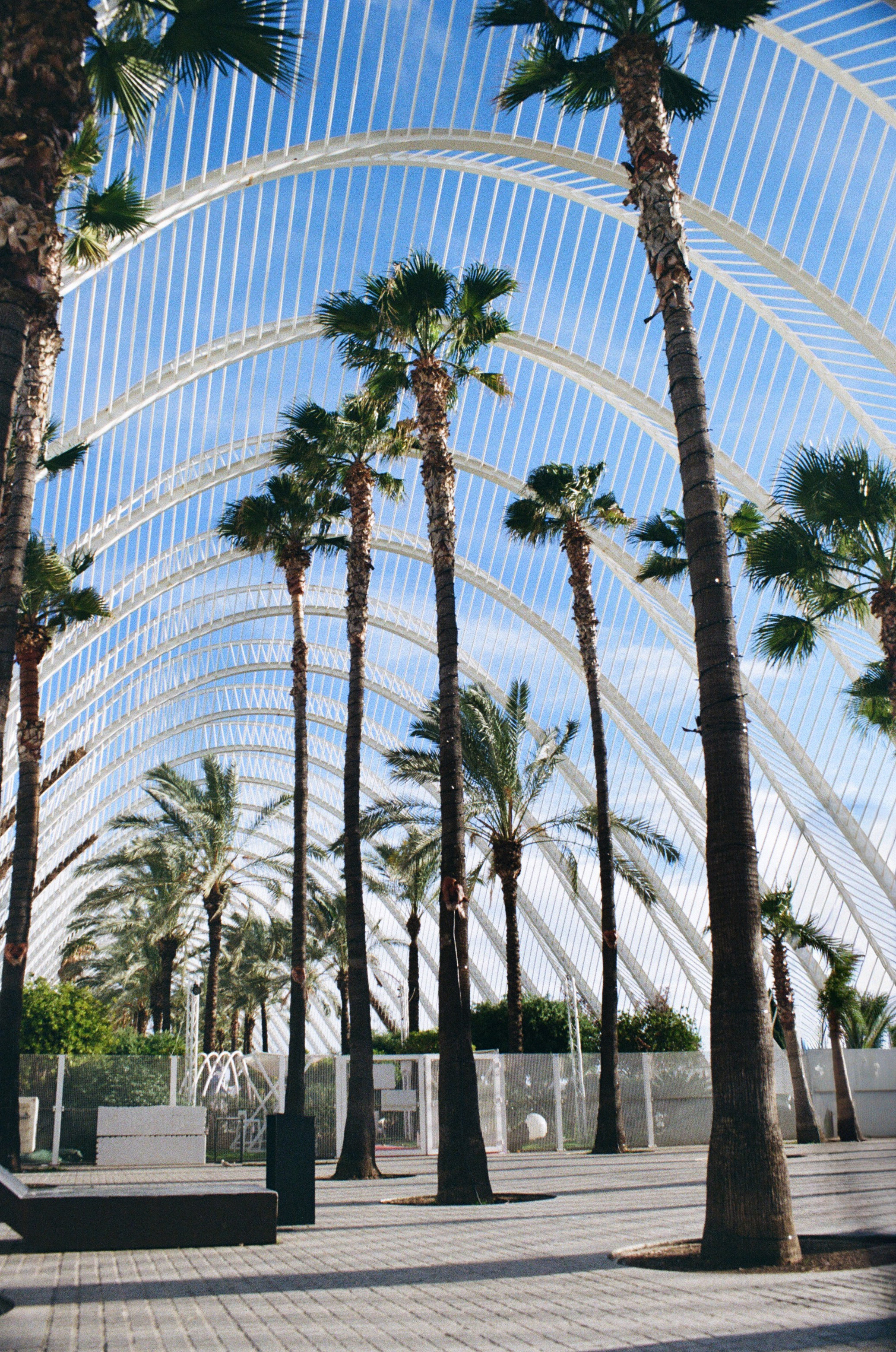 Valencia — Ein fotografischer Spaziergang durch Licht und Weite. Hochzeitsgeschichten – Professionelle Hochzeitsfotografie & Videografie in Deutschland, Italien, Spanien und ganz Europa