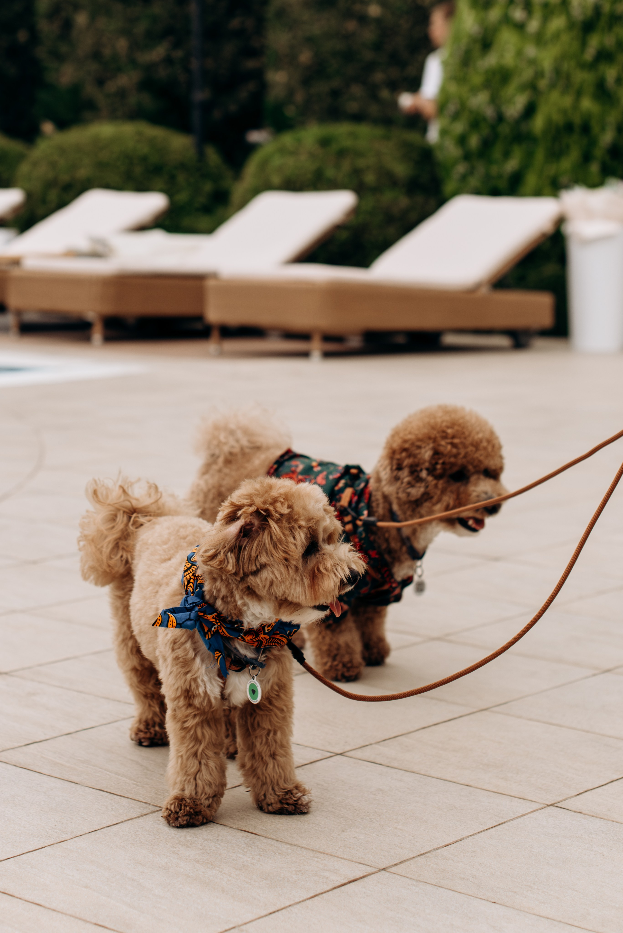 *. Wedding and family photographer San Diego