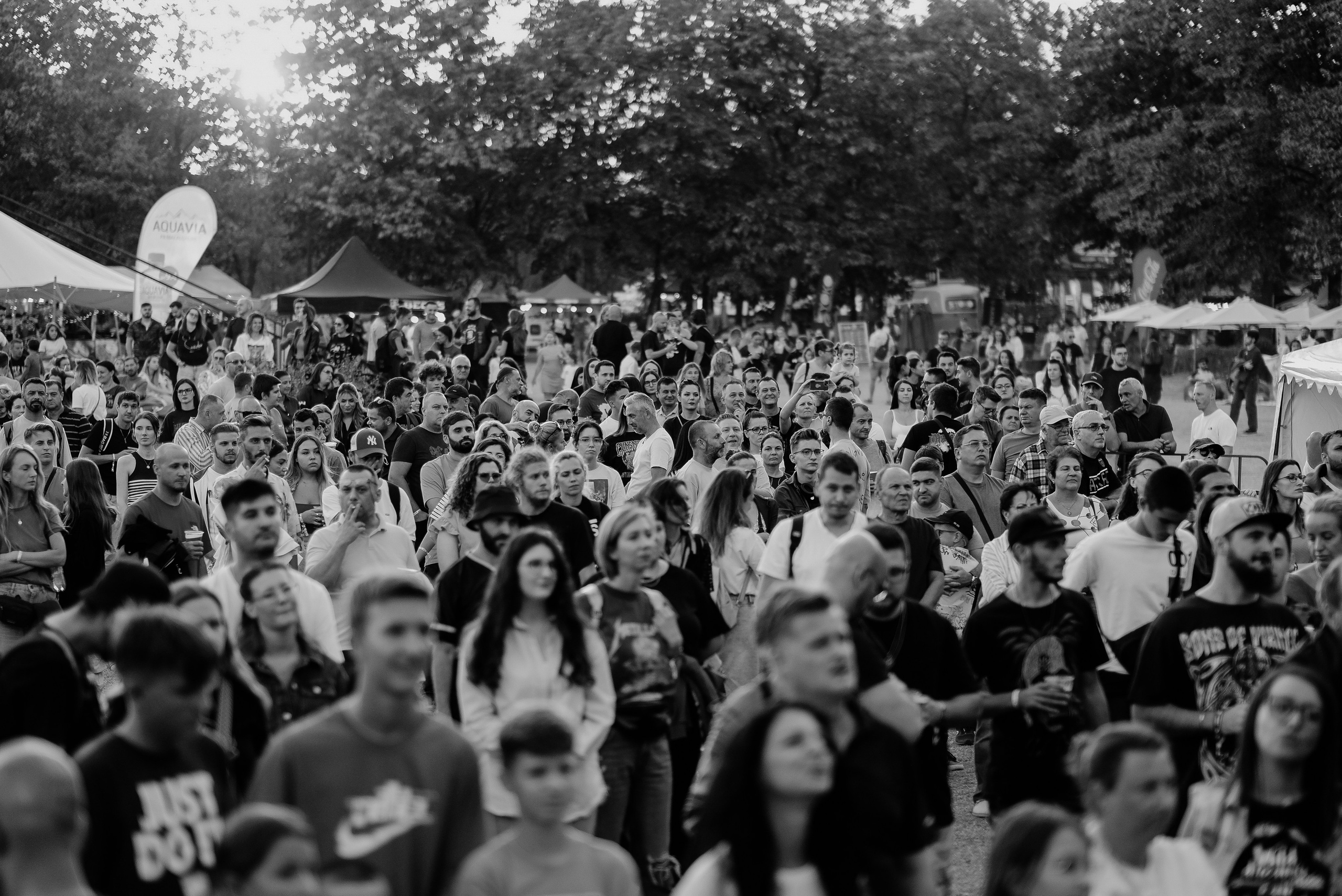 Vita de Vie simfonic. Hornetart