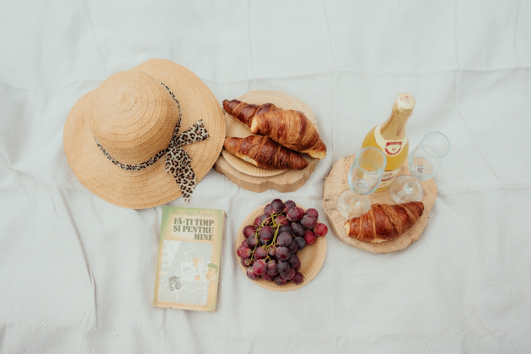 Save The Date — Monica & Danut | Polovragi