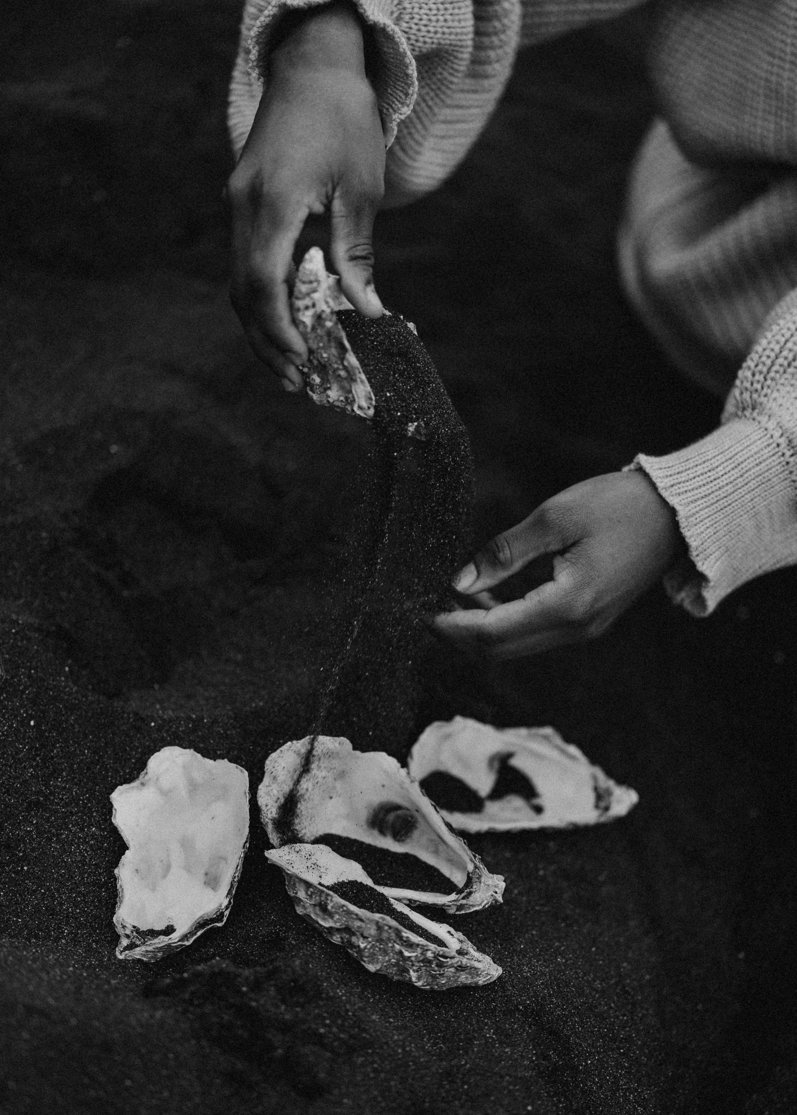 Memi. Pagina principale