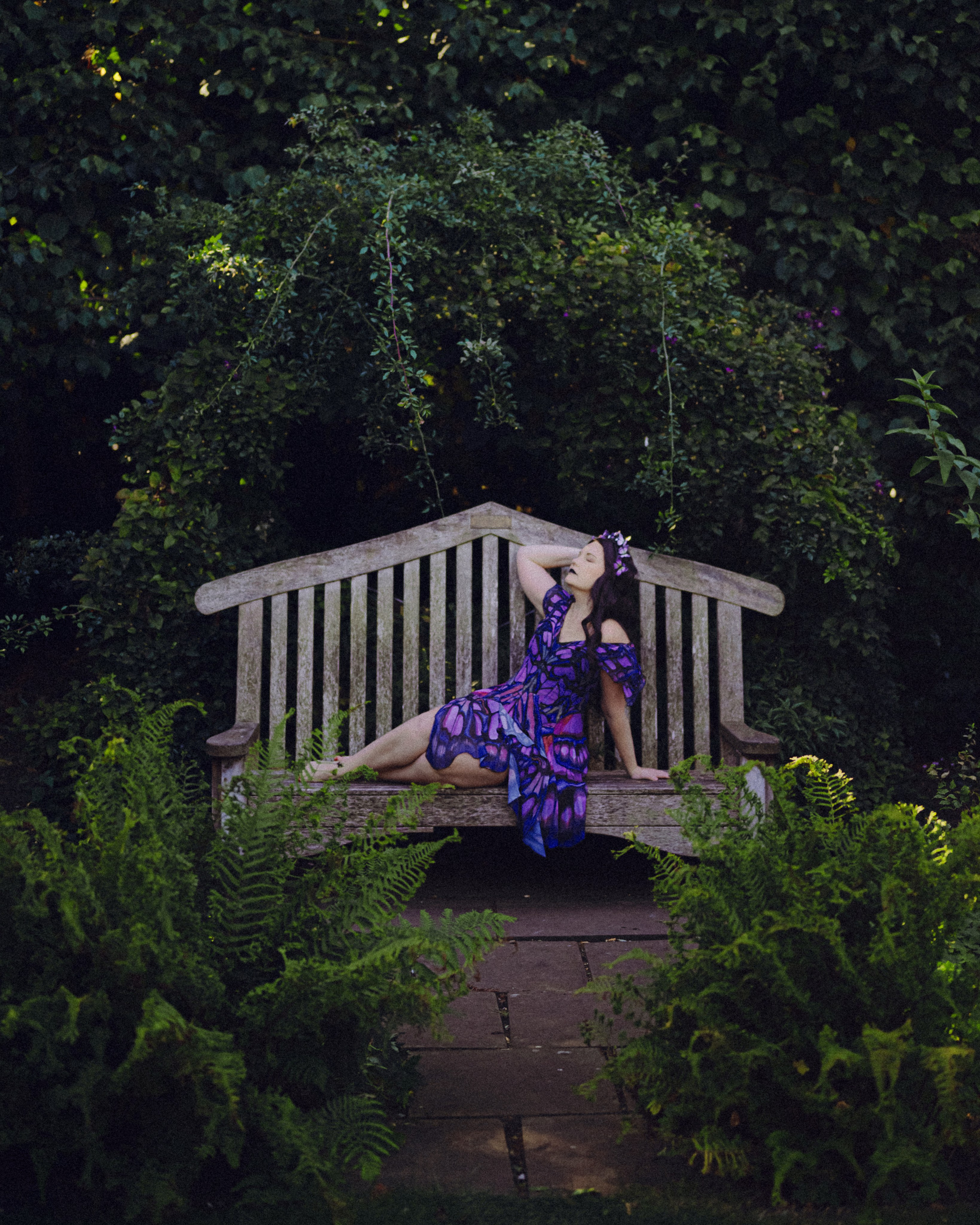 Butterfly purple fairy in a blooming garden. Moth & Moss Photography