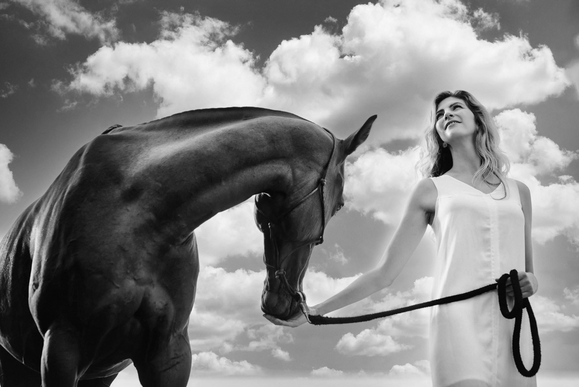 Photo shoot with horses