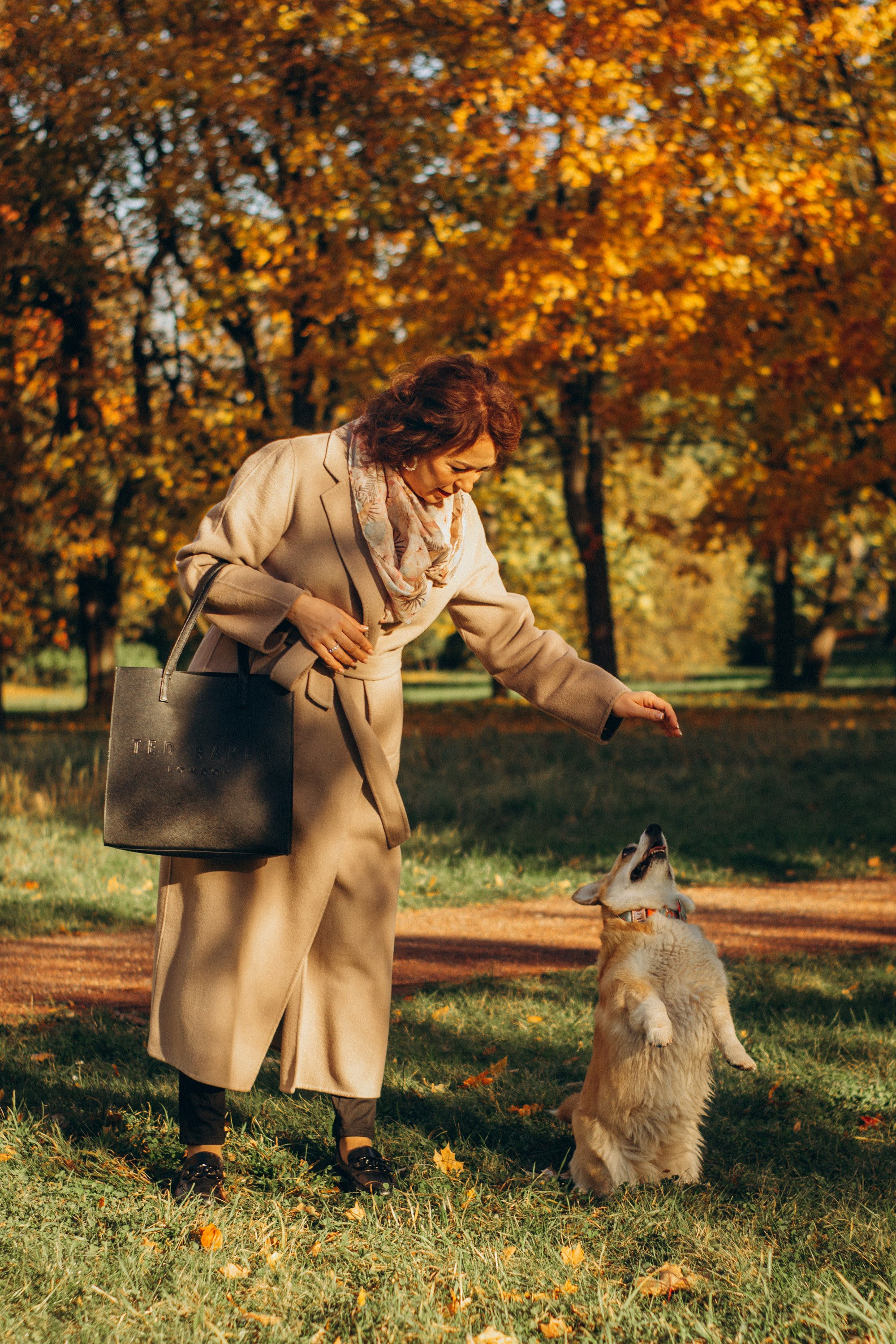 Irina and her Teffy, Pembroke Welsh Corgi. Kat Laisaar — Pet photographer in Tallinn