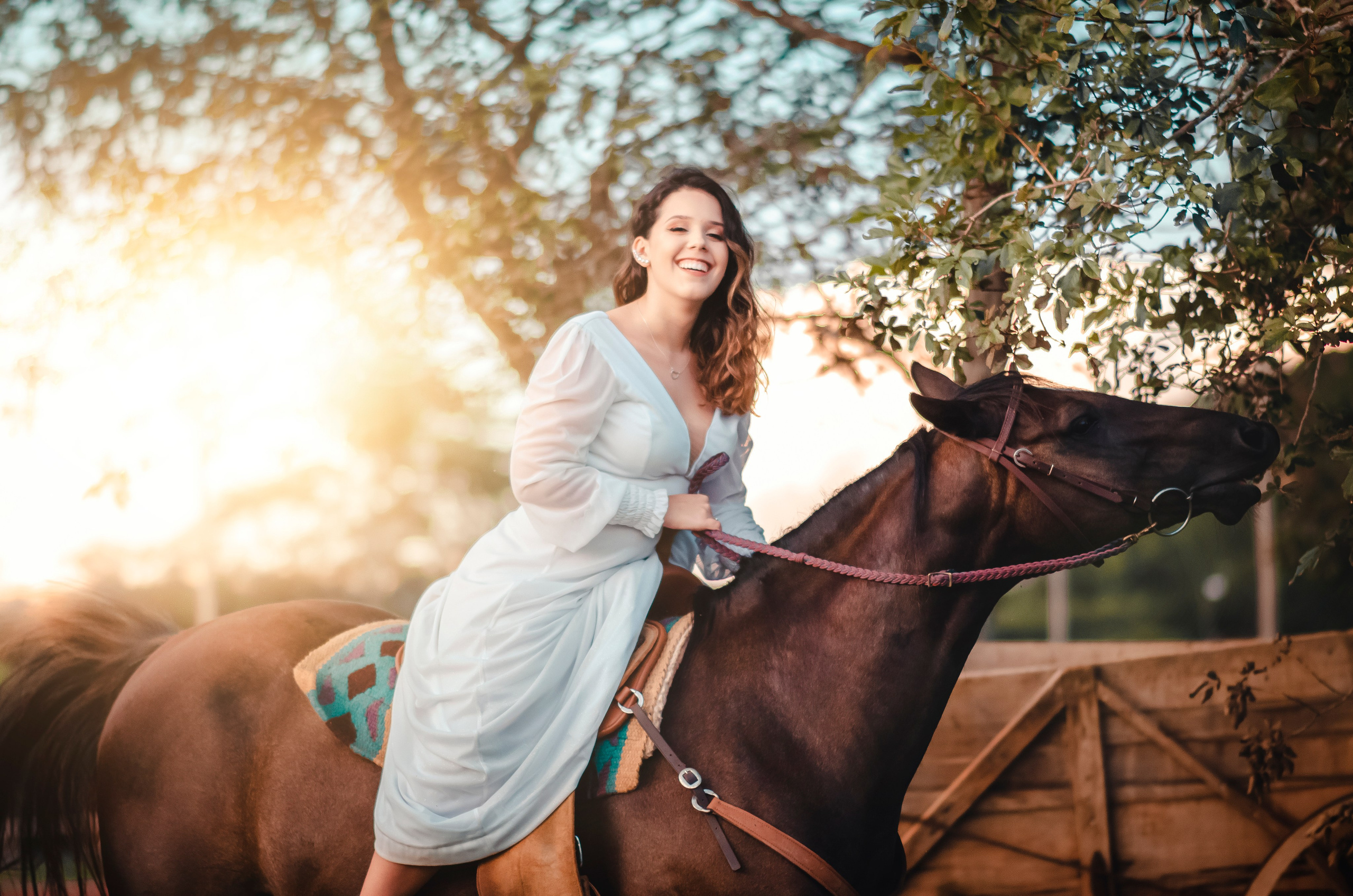Luiza Camargo — Haras / Bauru SP. Robson Colaço