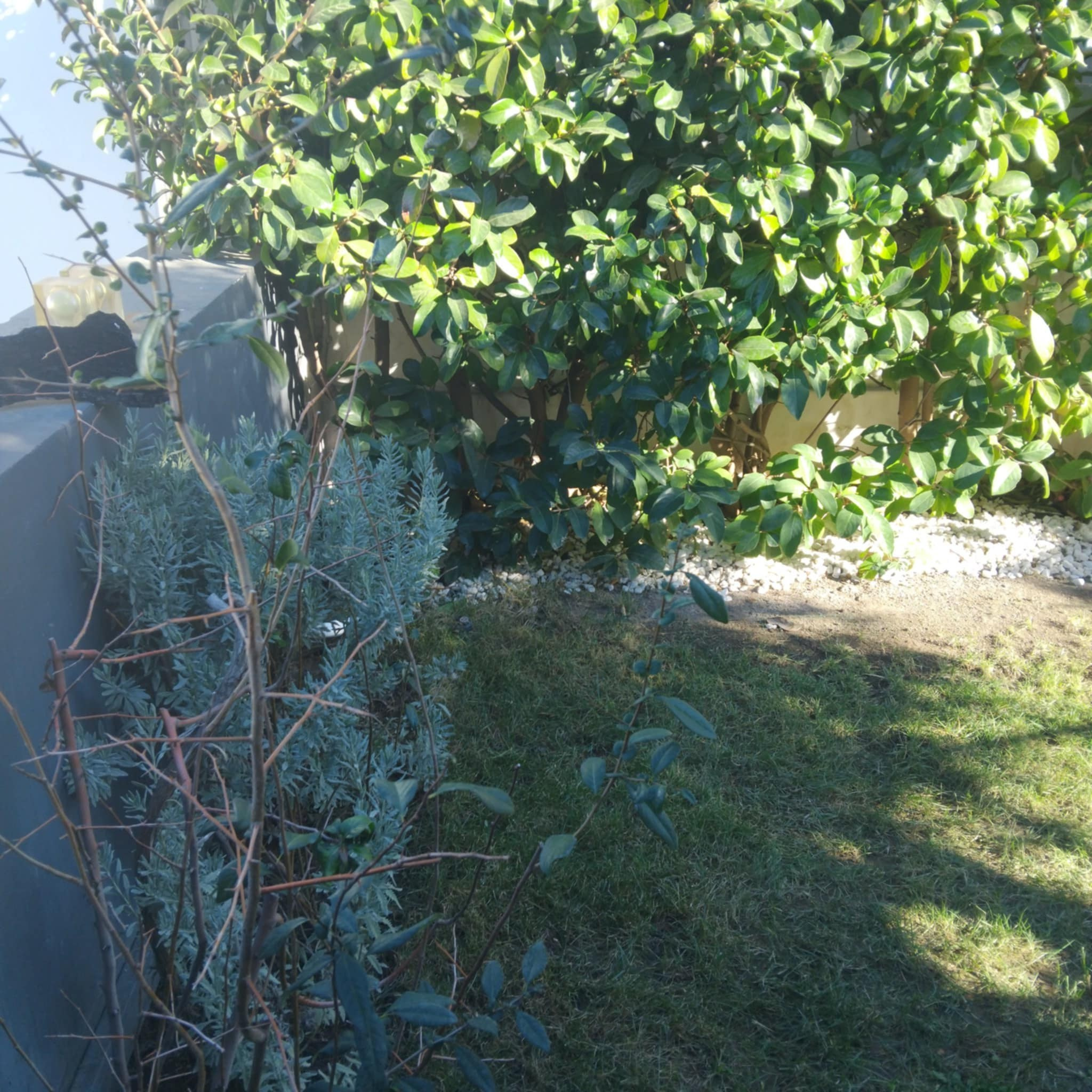 Κήπος Πειραιά. Geoponitikon-Όταν η Επιστήμη συναντά την Τέχνη στο Φυσικό Τοπίο!