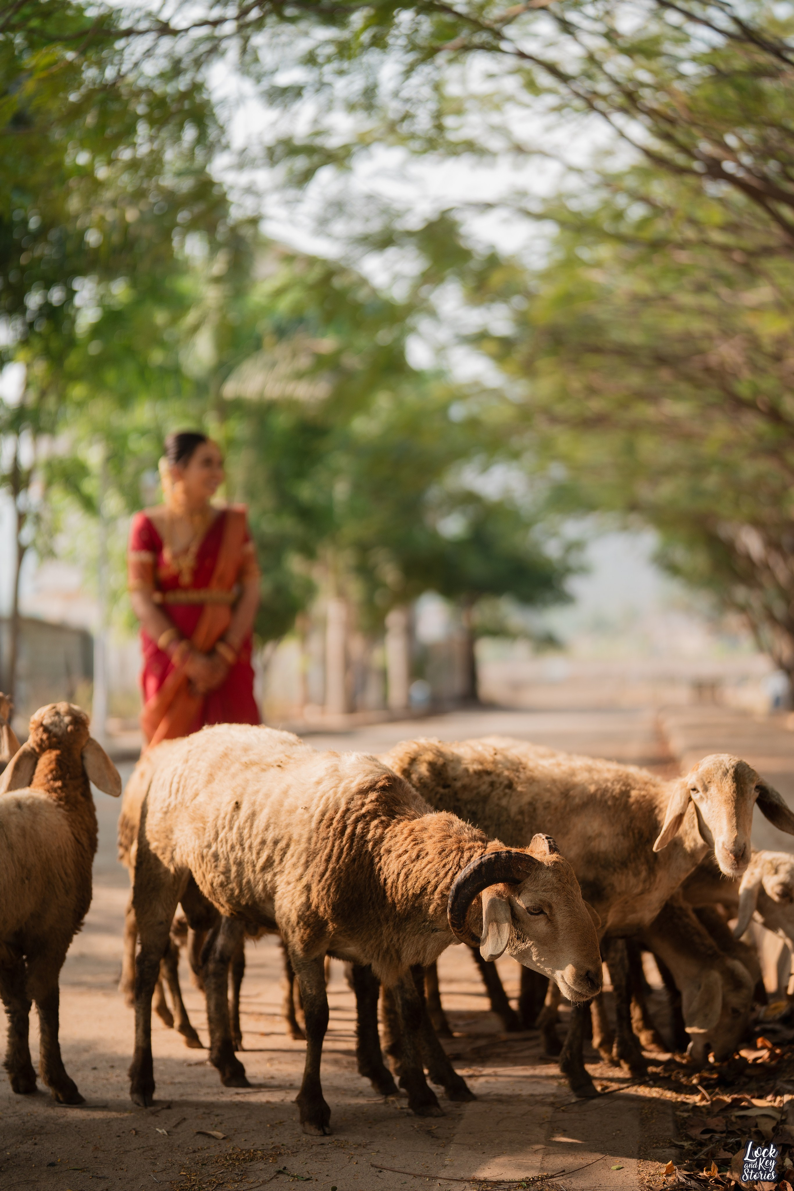 Jithin & Kalyani. The Lock And Key Stories