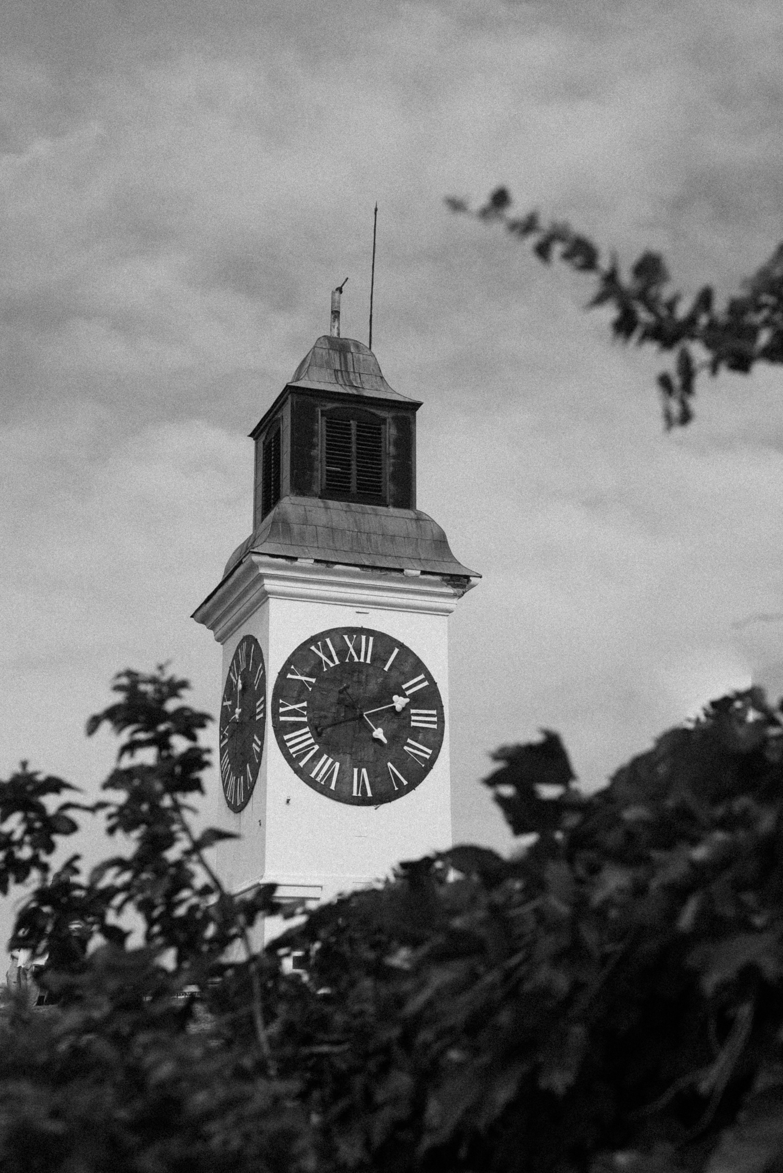 J.R.V. Семейный фотограф. Сербия. Нови-Сад. Белград