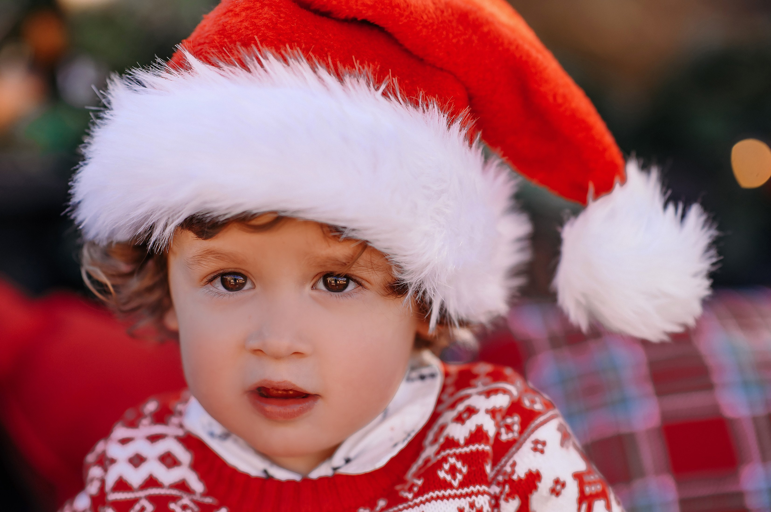 Big family. Wedding, maternity and family photographer in Charlotte Tasha Minn