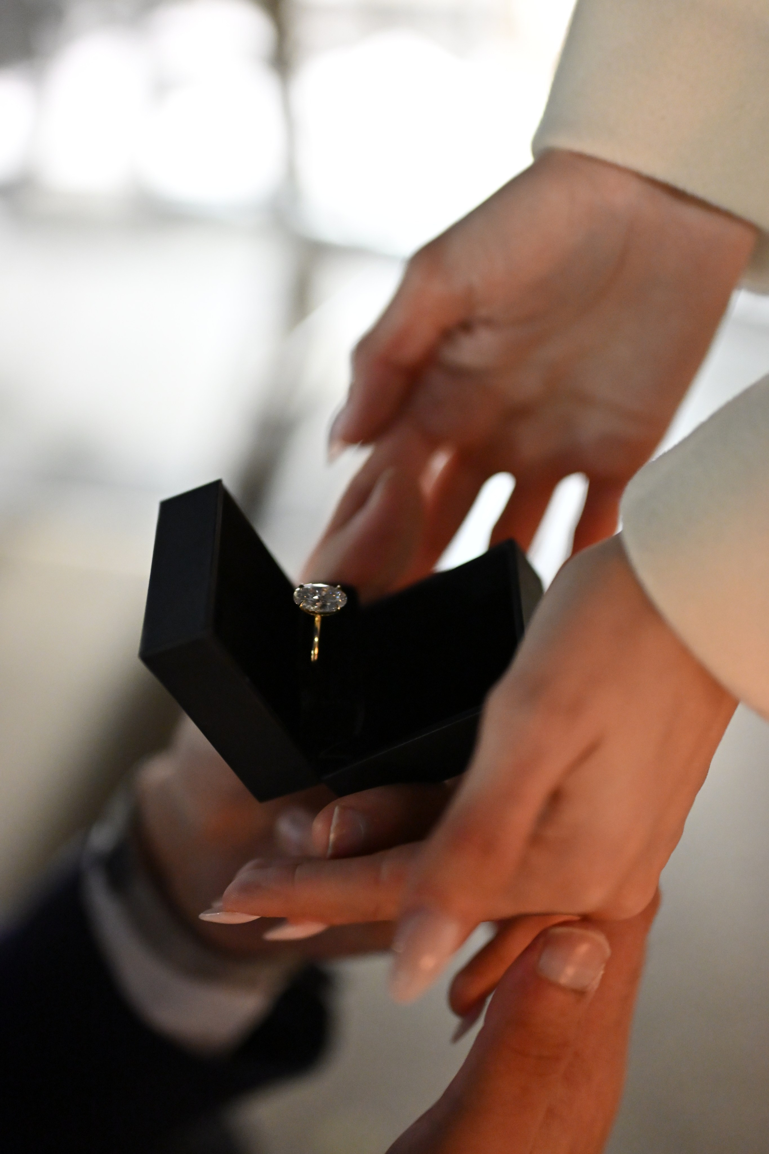 Secret Proposal Photography service and more | NYC. Photography company in NYC — Sirius Proxima Photography