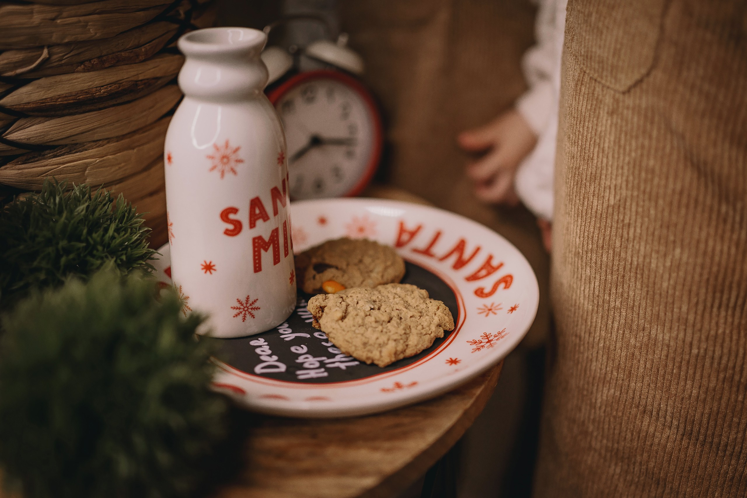 11.26.2025 Christmas Photoshoot. Wedding family event photographer in Chicago Nick Yushevich