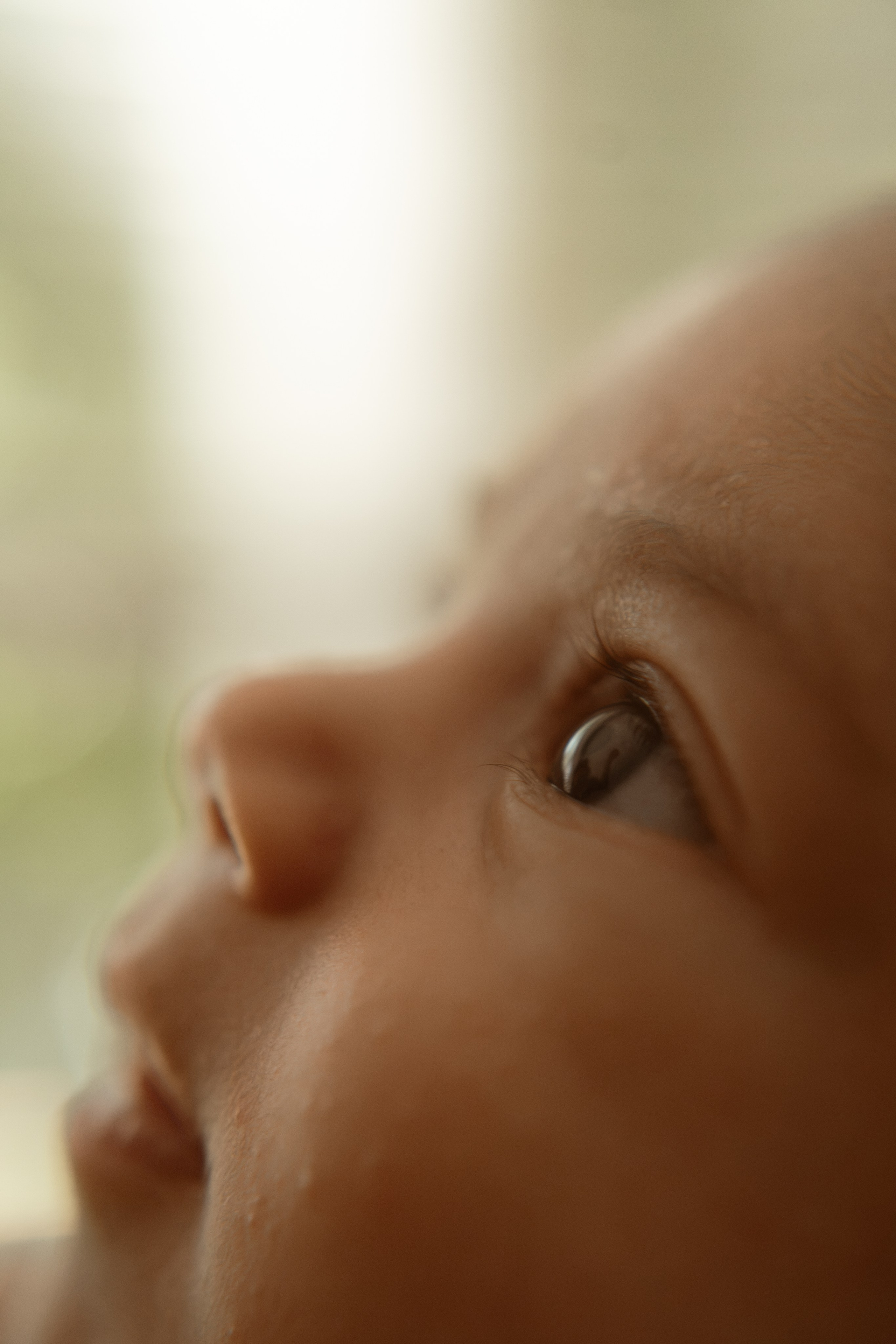 Close profile of a newborn's face in soft window light