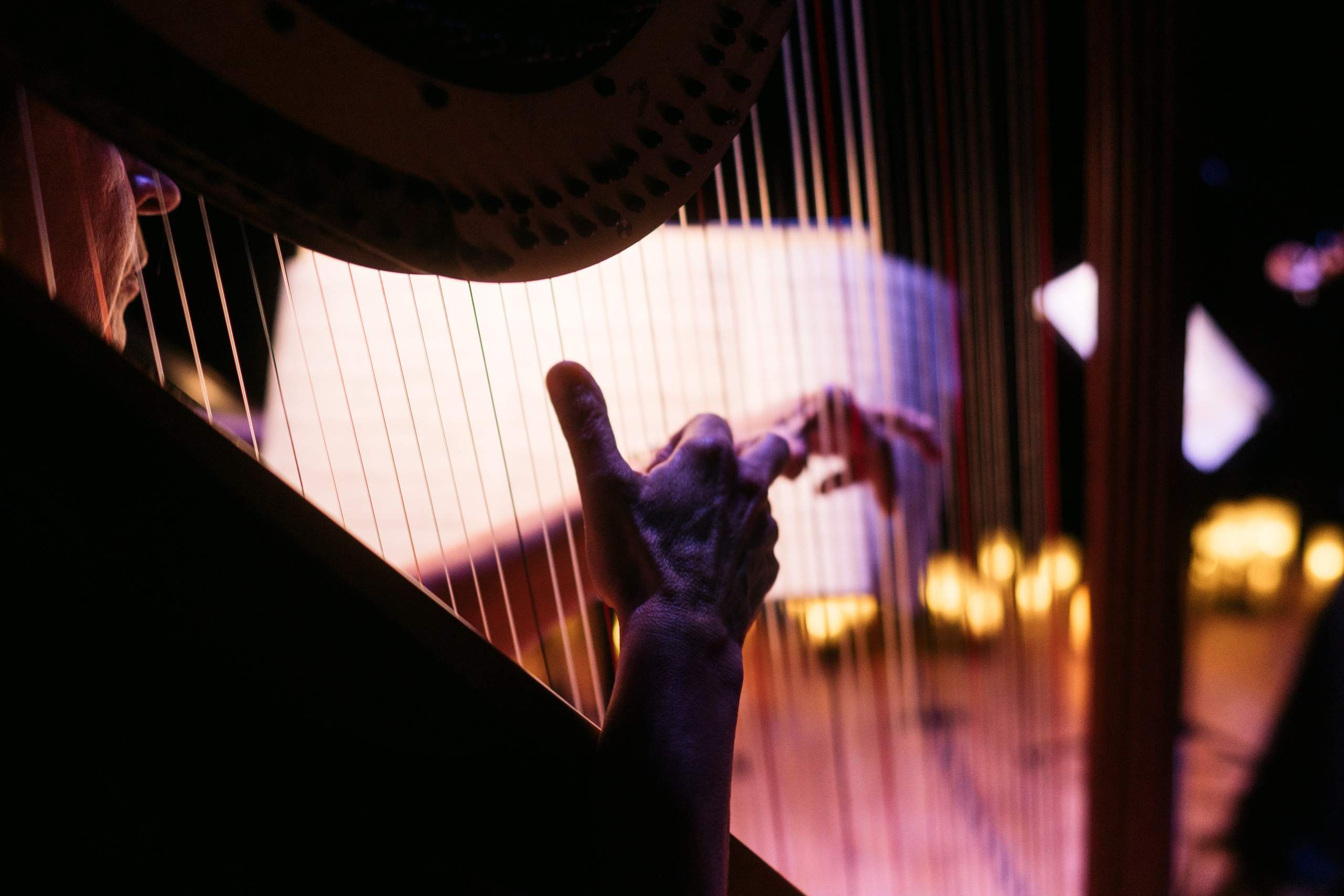 AdLibitum. Главное меню