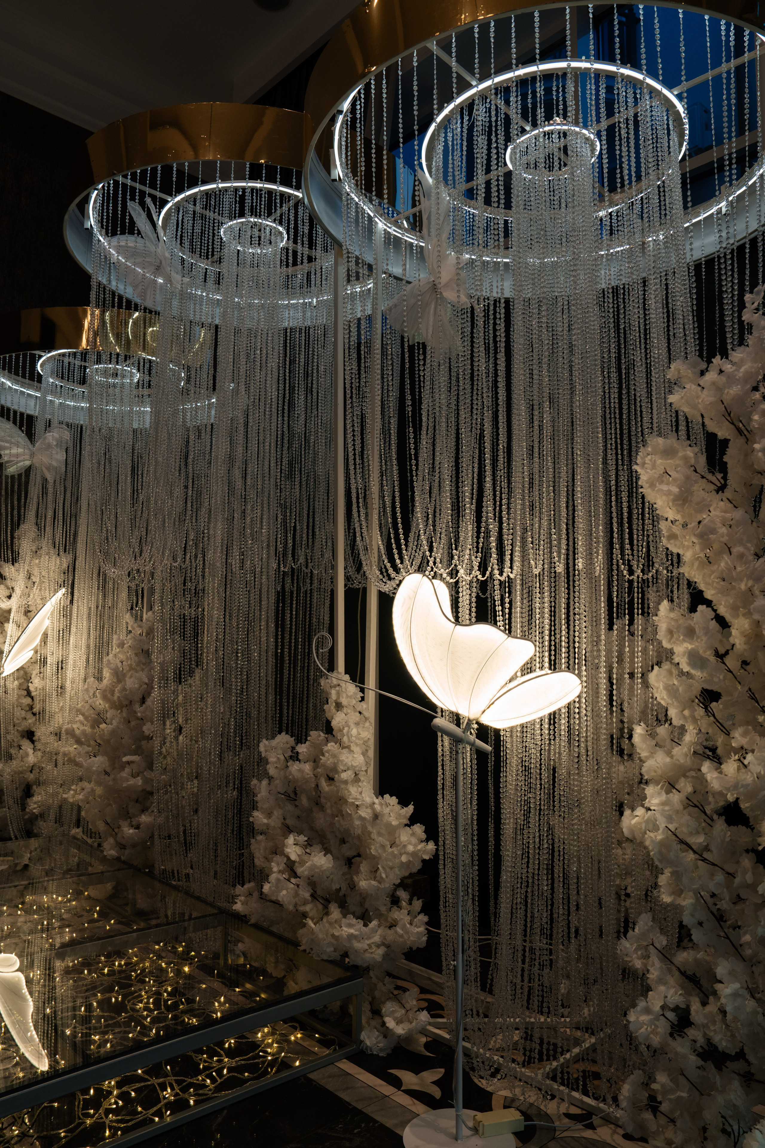 Cosmin & Anamaria. Studio Timis