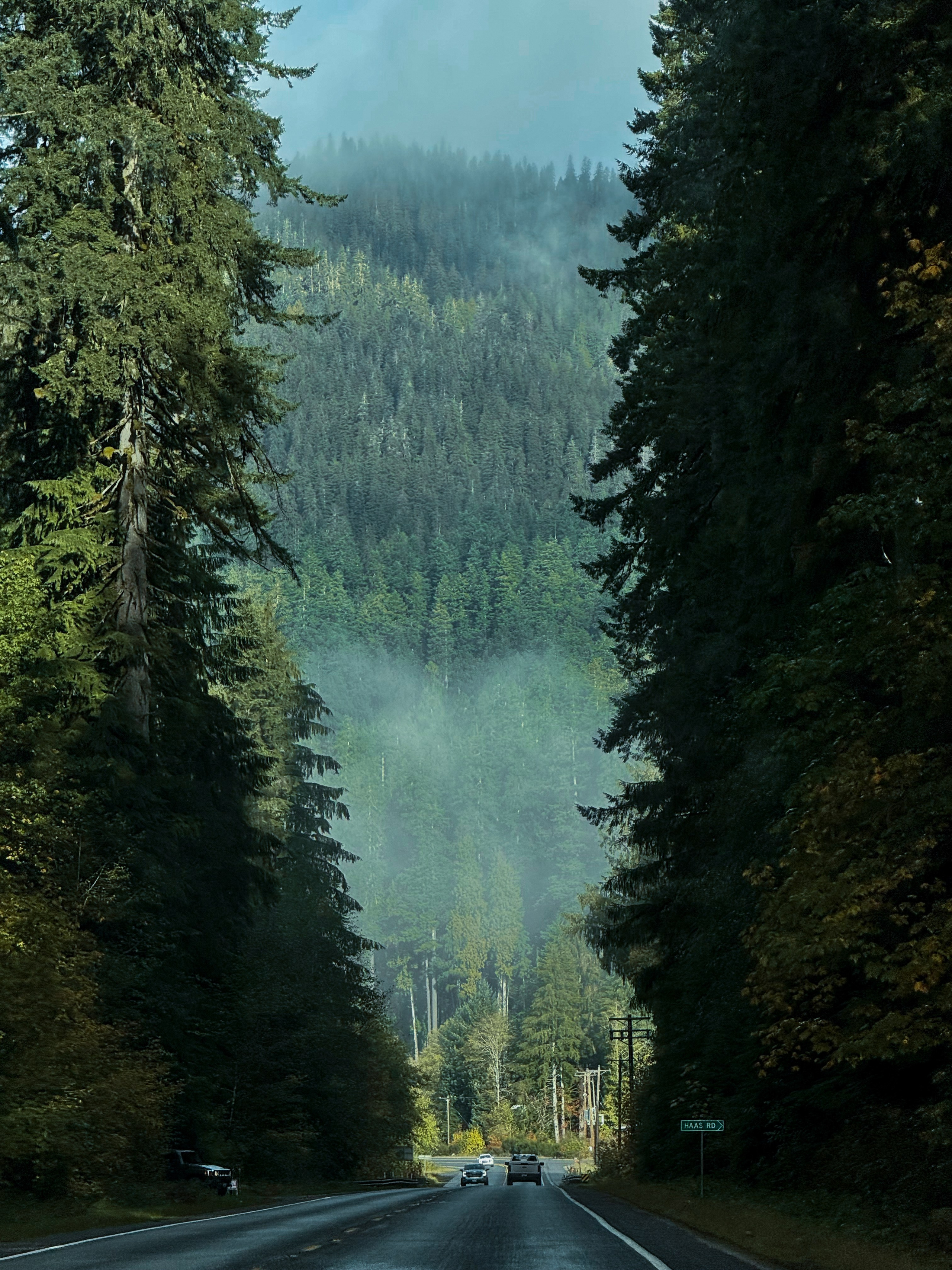 Twilight | Wallpapers. Photographer in Los Angeles. Julia Ishmuratova