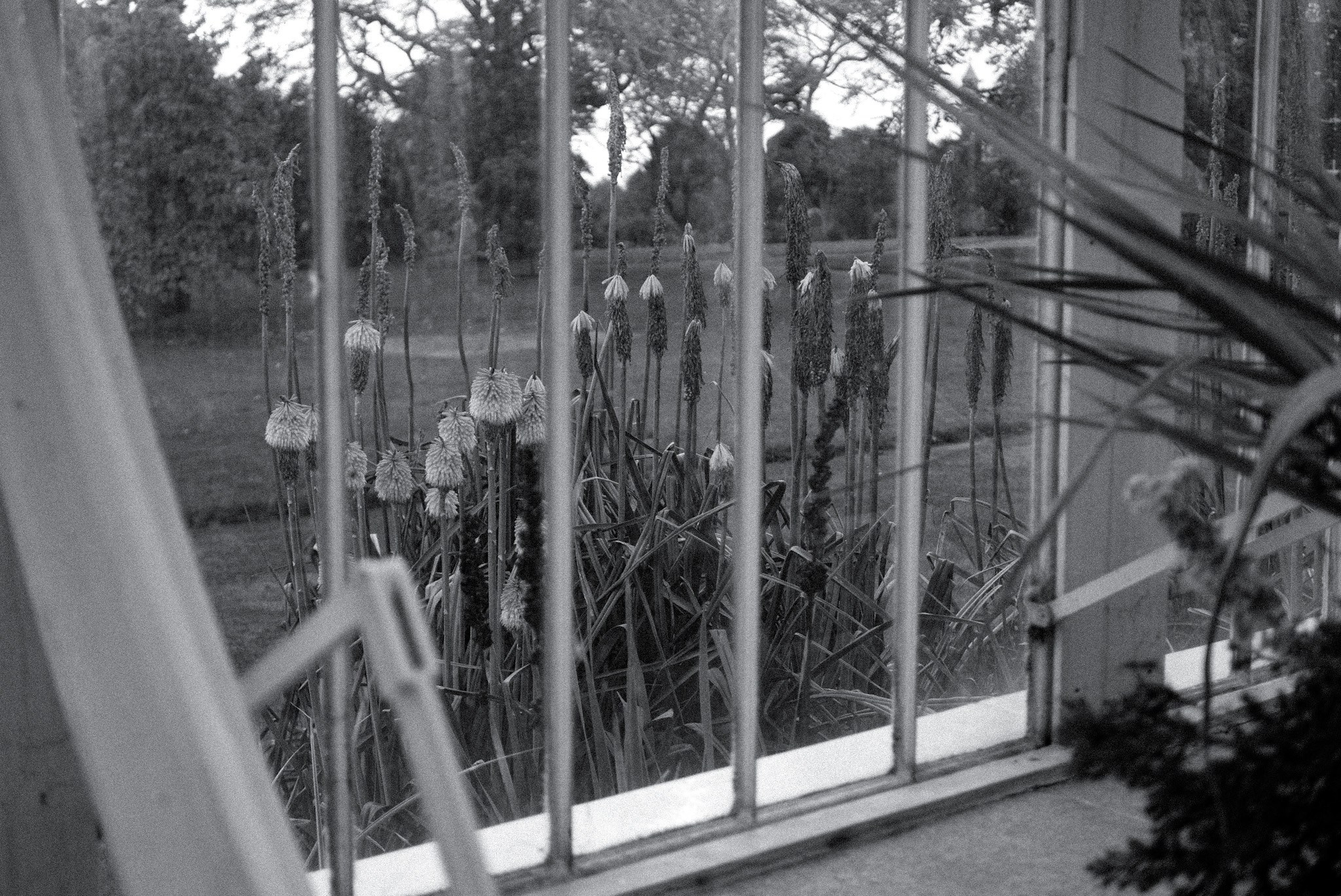 Botanical garden, Dublin 2023