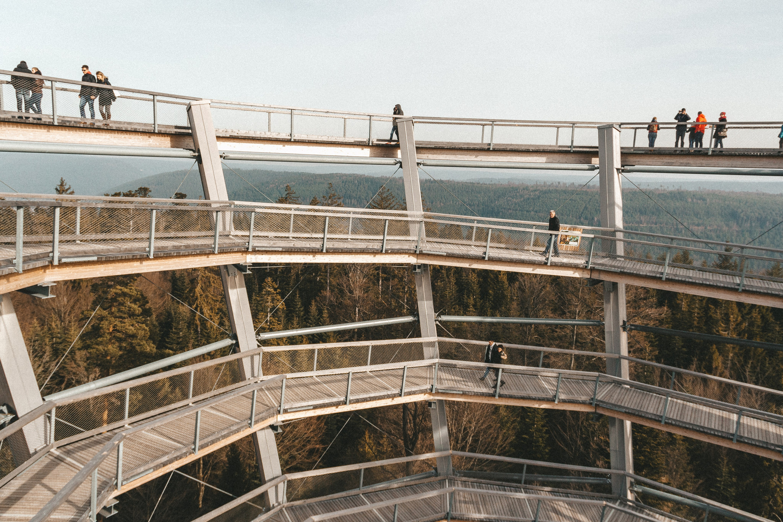 Baumwipfelpfad in Bad Wildbad. Maria Chistyakovа — Fotografin in Karlsruhe, Baden-Baden und Umgebung