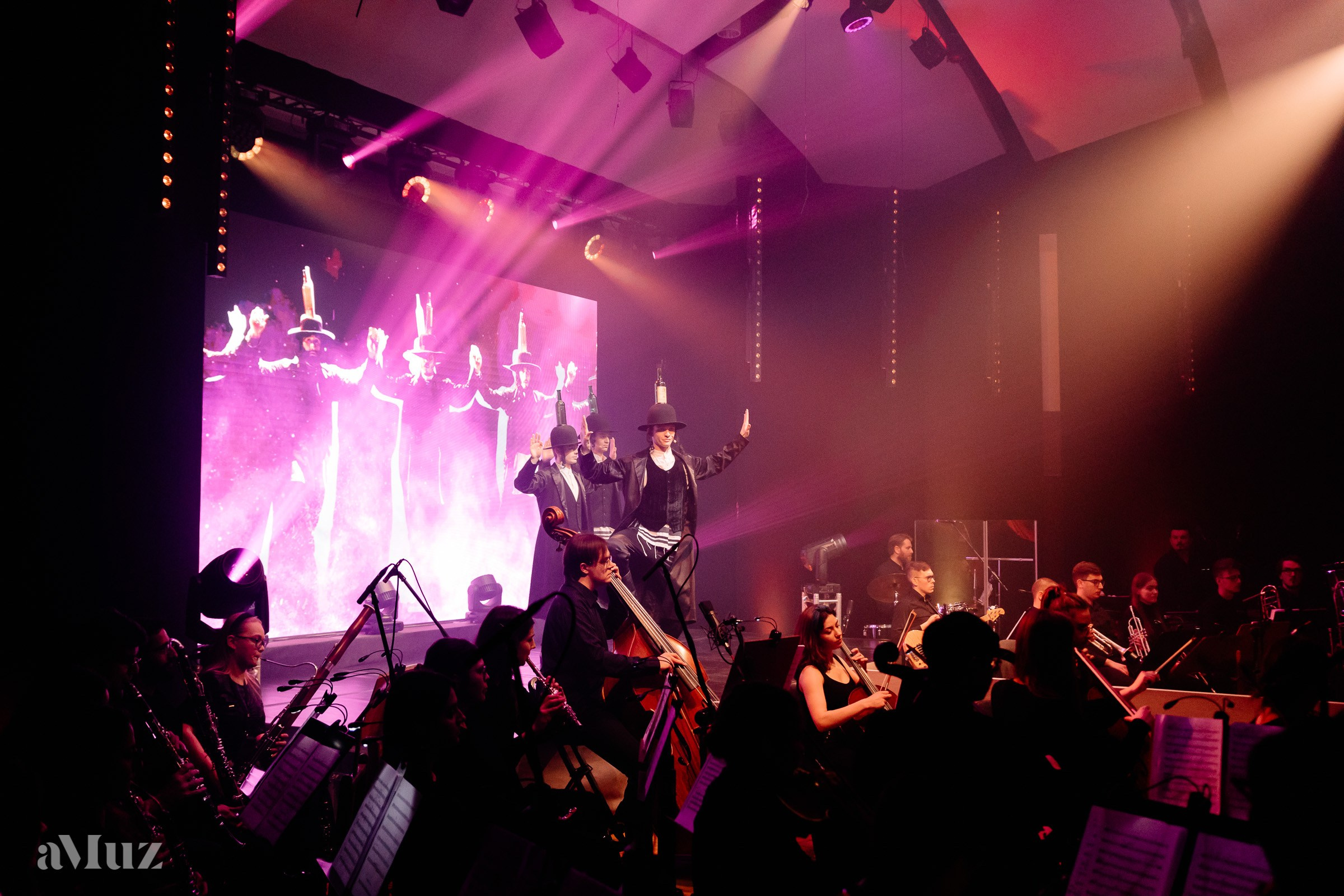 Koncert Amuz.pl. Fotograf Ślubny Warszawa - Sesje Biznesowe Rodzinne Eventy