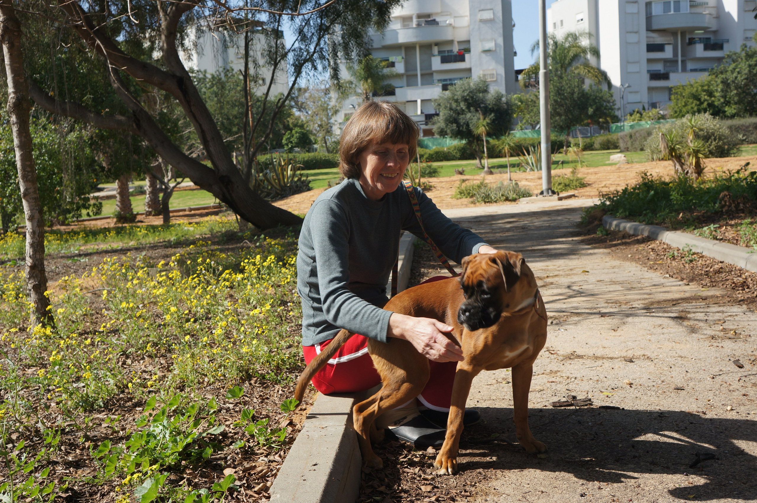My ״Star״ Boxer Dog