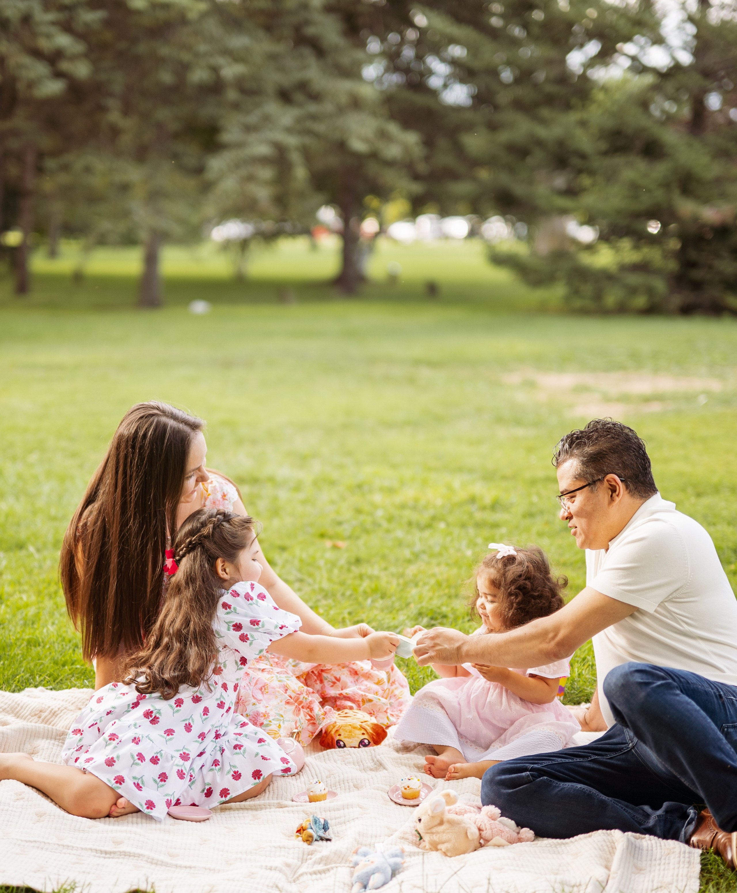 Chicago family photoshoot. Photographer in Chicago