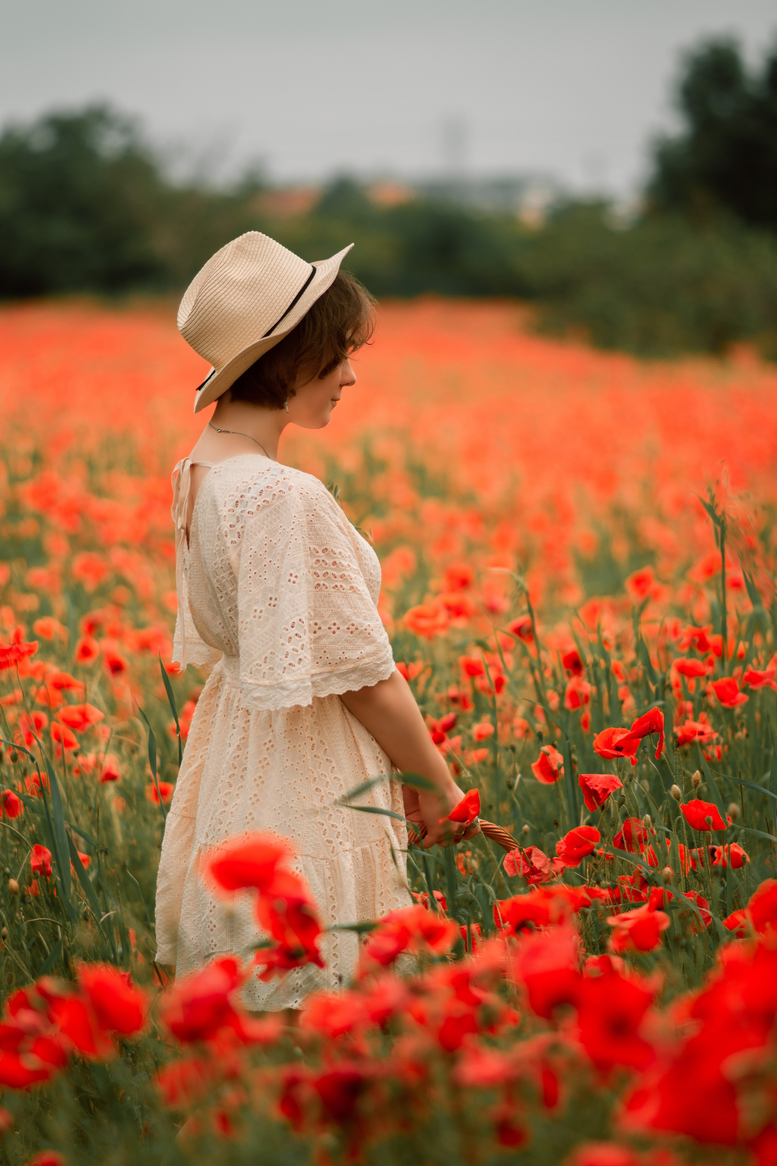 Маковый рай. Семейный и детский фотограф