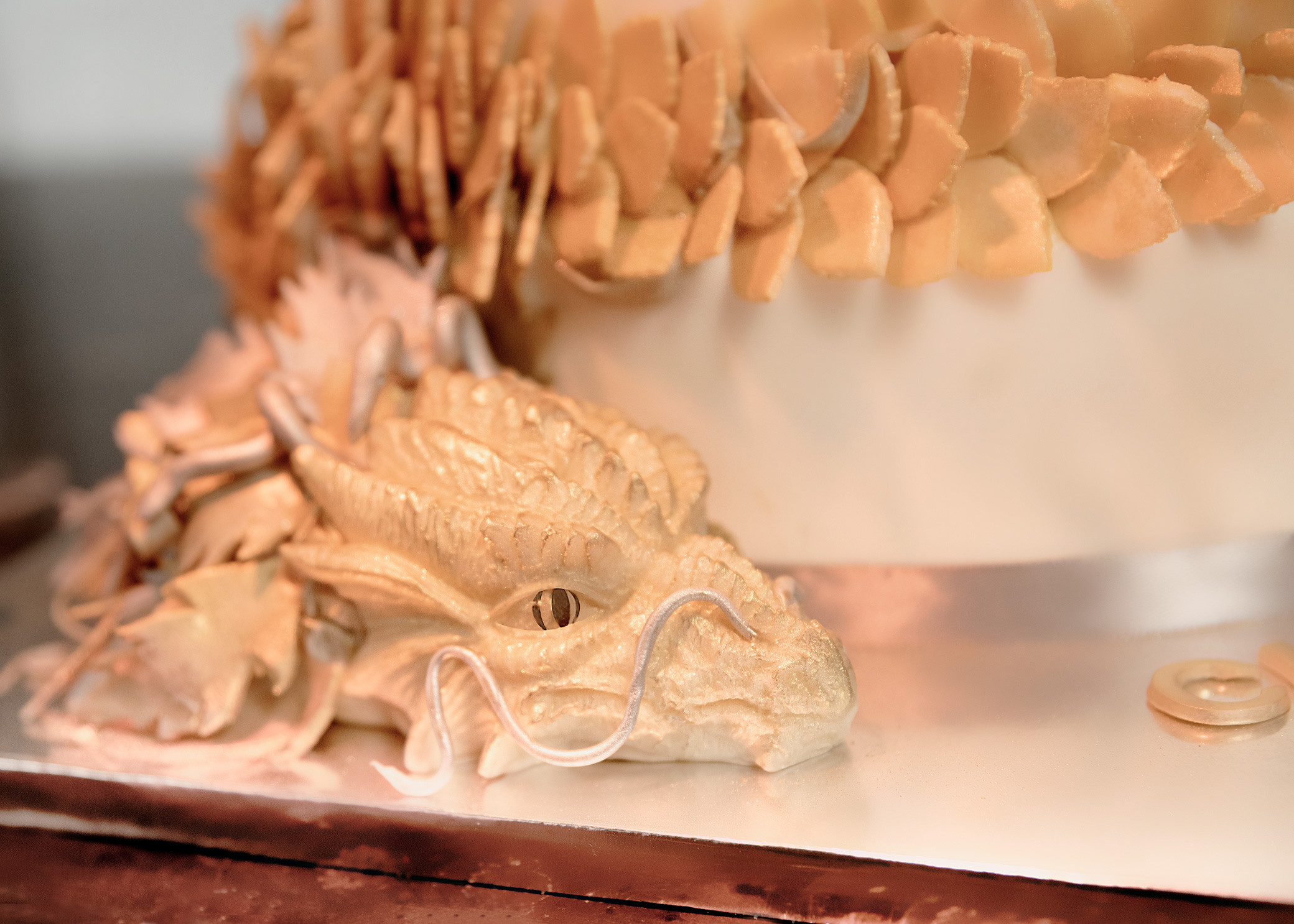 Business_presentation. Portrait, kids and family photographer in Wesley Chapel Alina Alice Osipova