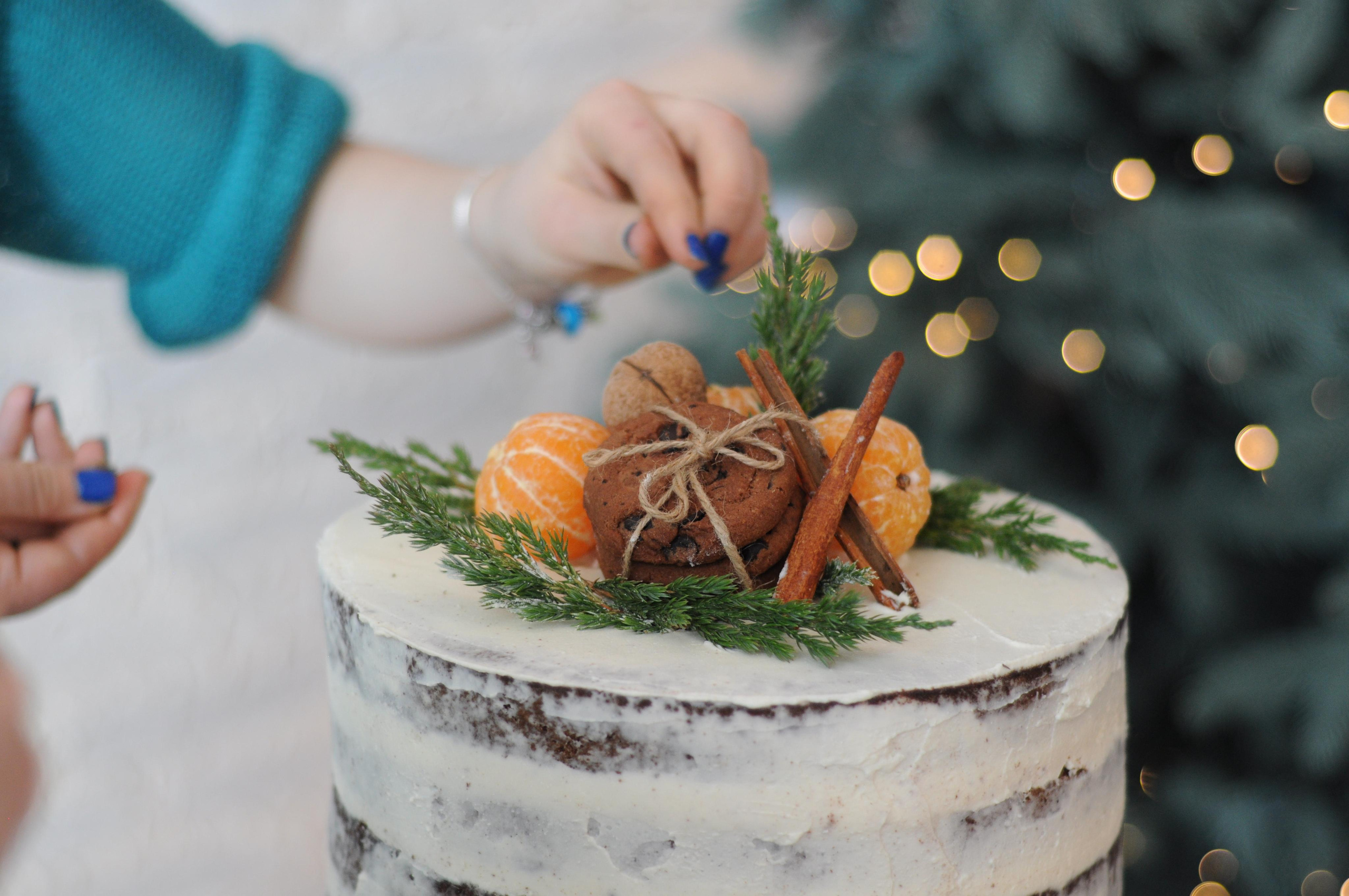 Christmas mood. Portrait, kids and family photographer in Wesley Chapel Alina Alice Osipova