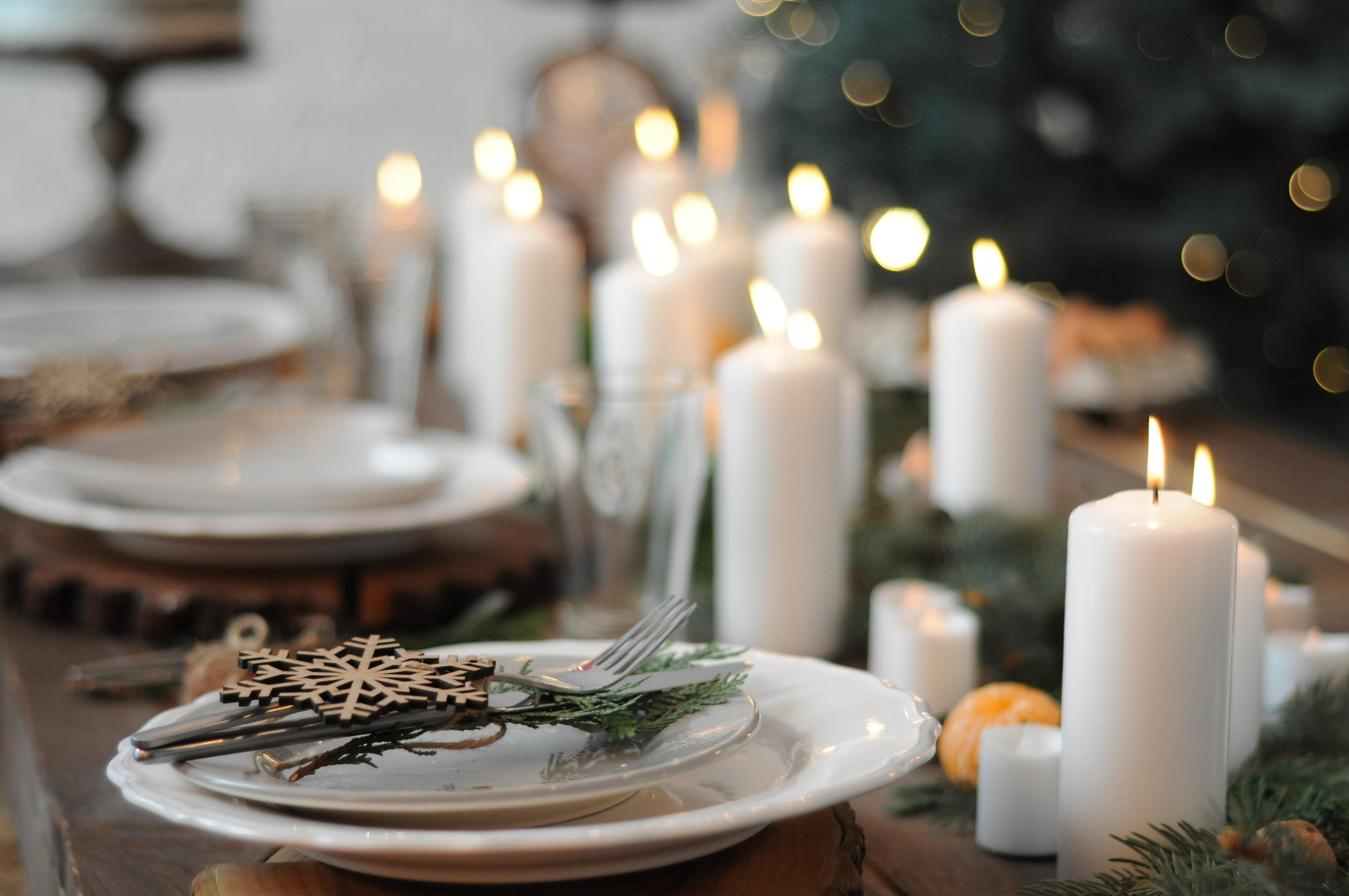 Christmas mood. Portrait, kids and family photographer in Wesley Chapel Alina Alice Osipova