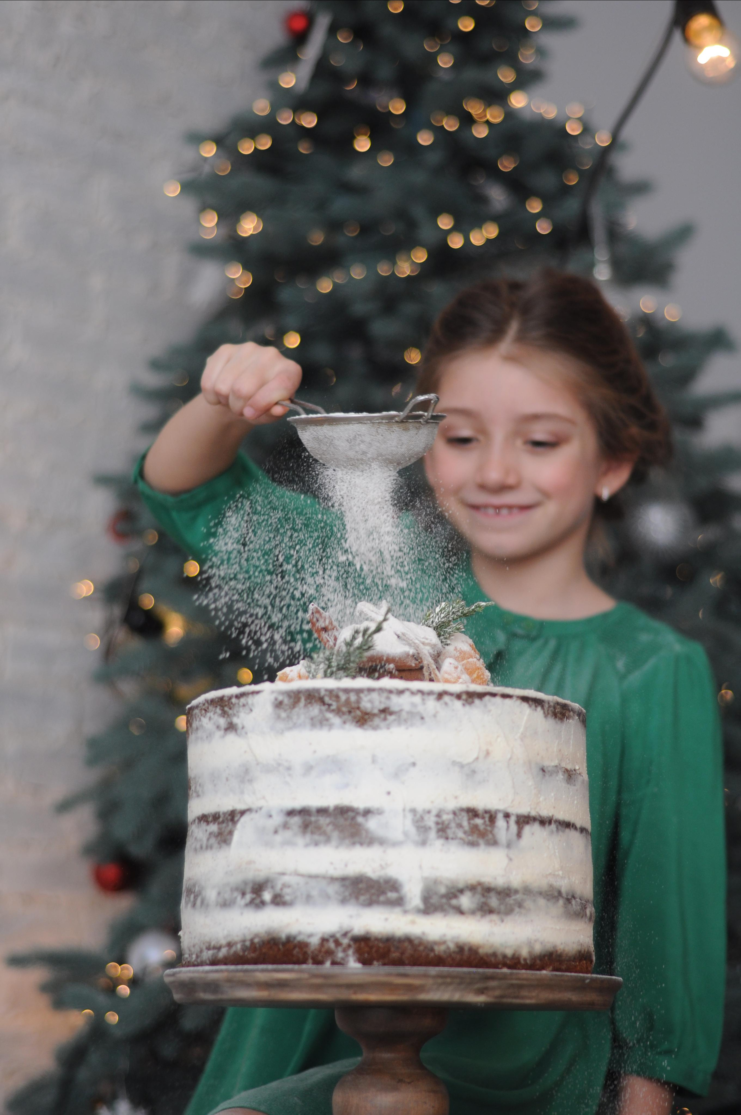 Christmas mood. Portrait, kids and family photographer in Wesley Chapel Alina Alice Osipova