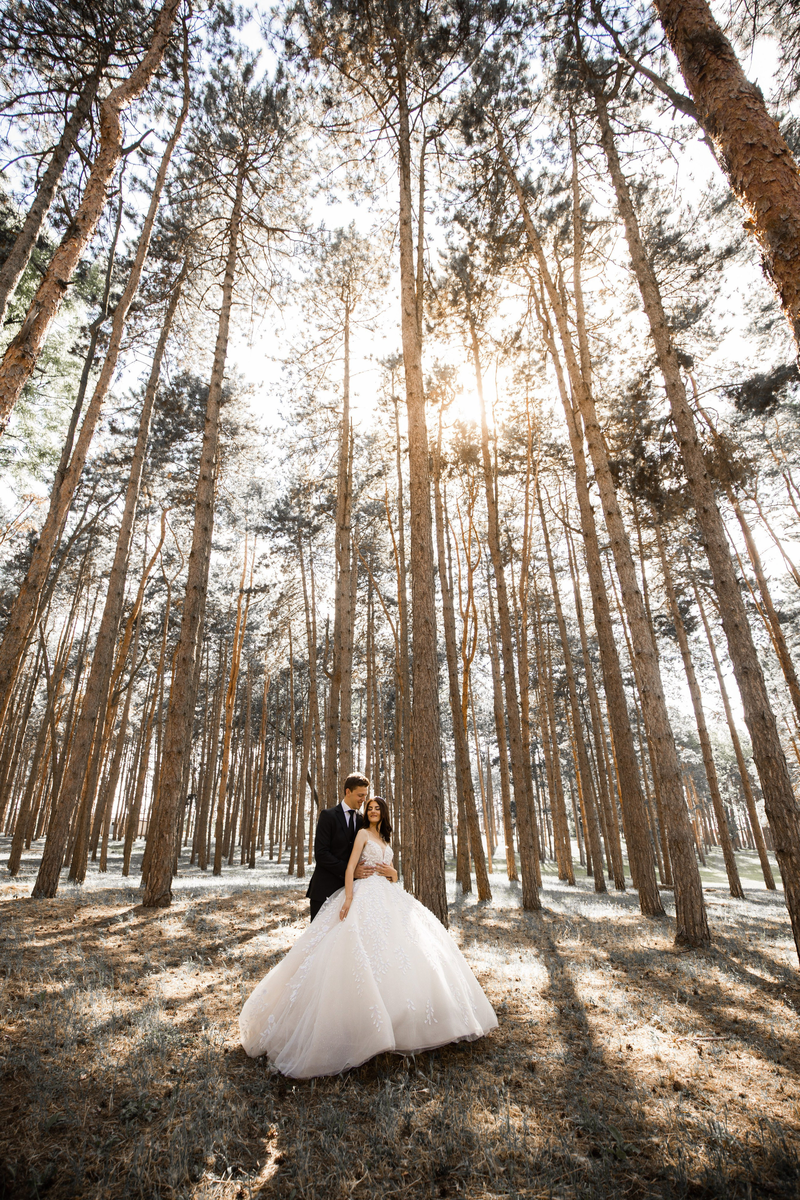 Photography. Alexandar weddings: Home