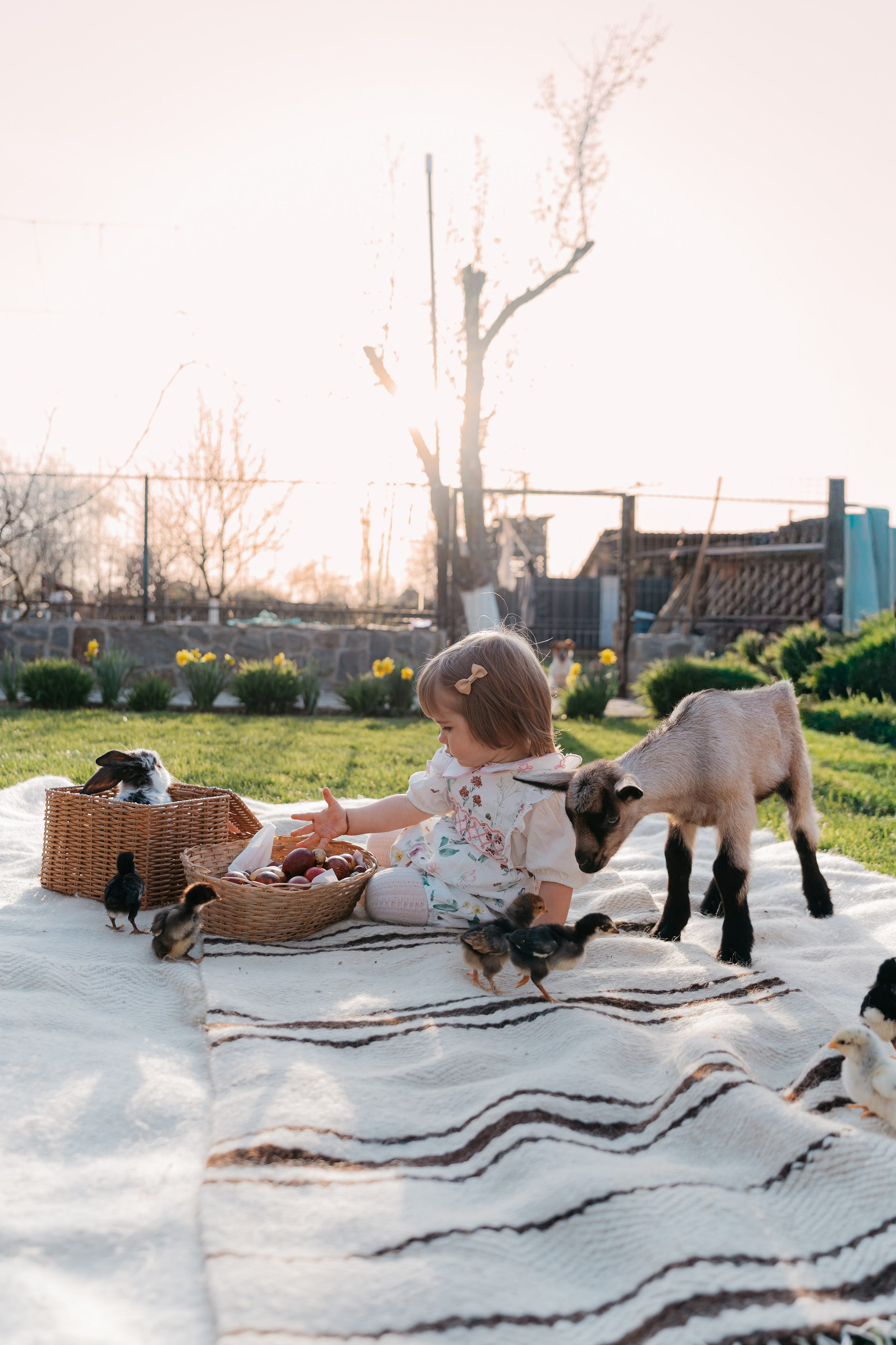 EASTER. Ars Vidi | Digital Solutions