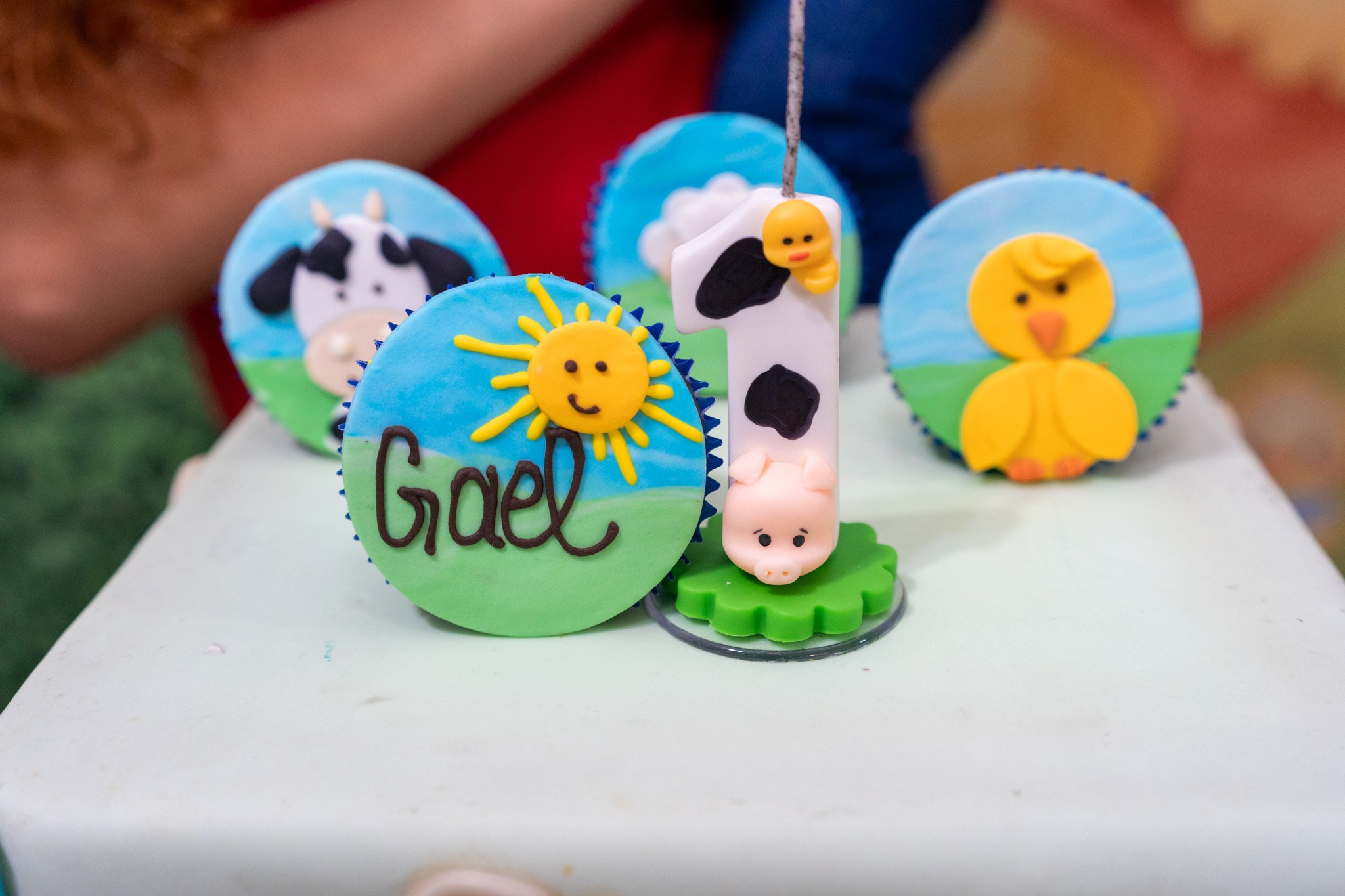 Gael 1 ano — 21/12/2024. Luiz Medeiros Produções