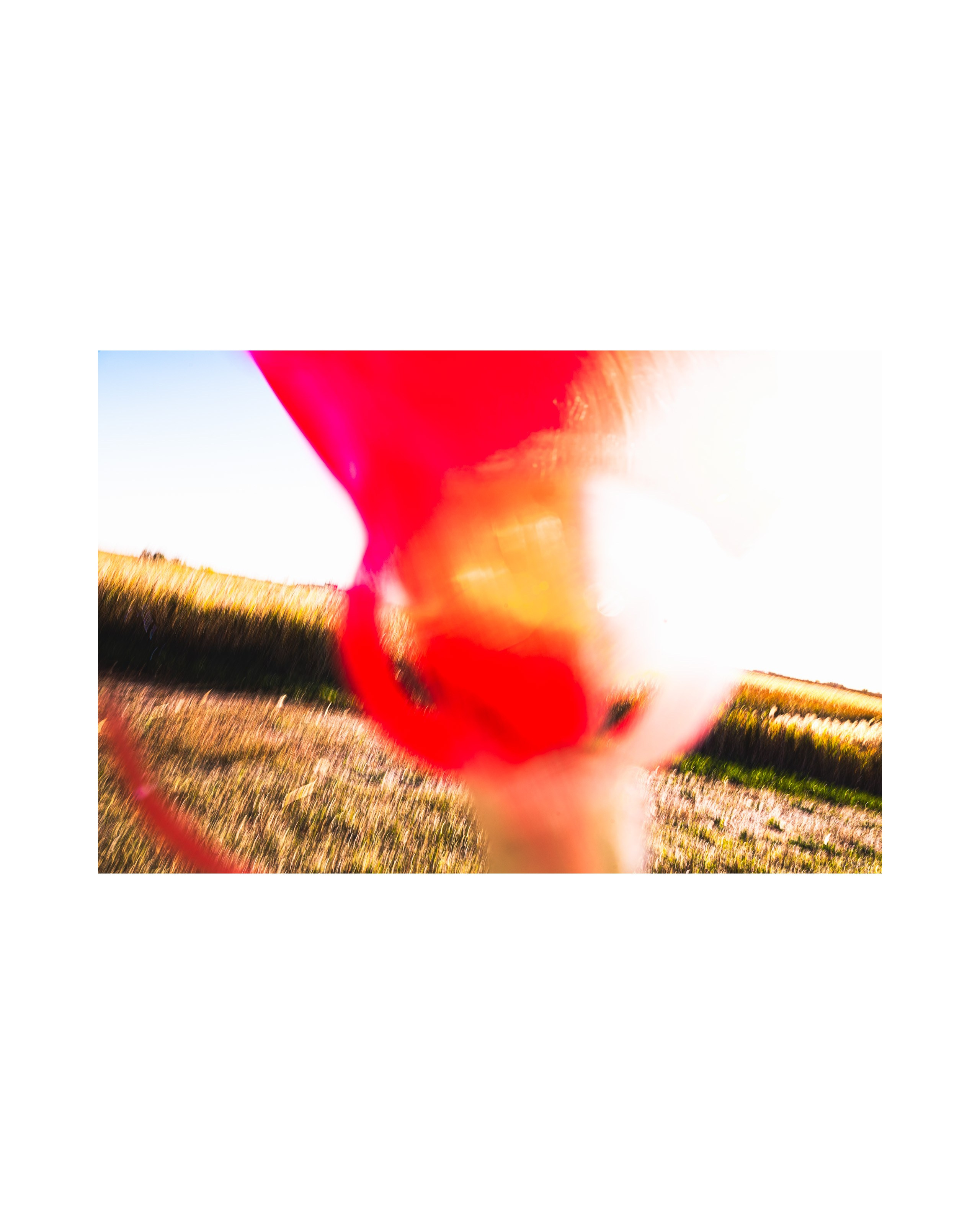 Nature from Exaggerated Worlds. Ekaterina Tsurkina-Appina Photography Canada