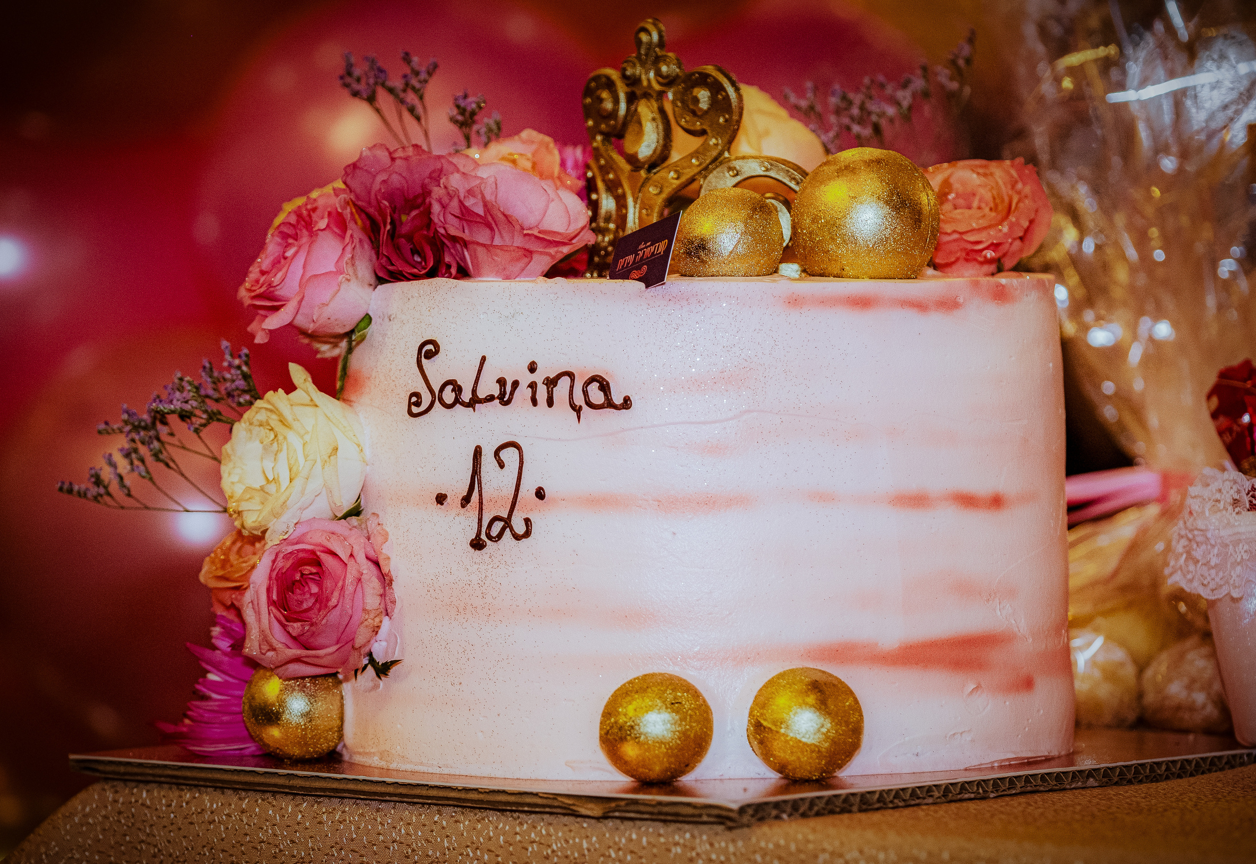 Birthday party. Middle East Photo Agency — Weddings, Bar & Bat Mitzvahs, Brit Milah, Theater, Magnets, Portraits