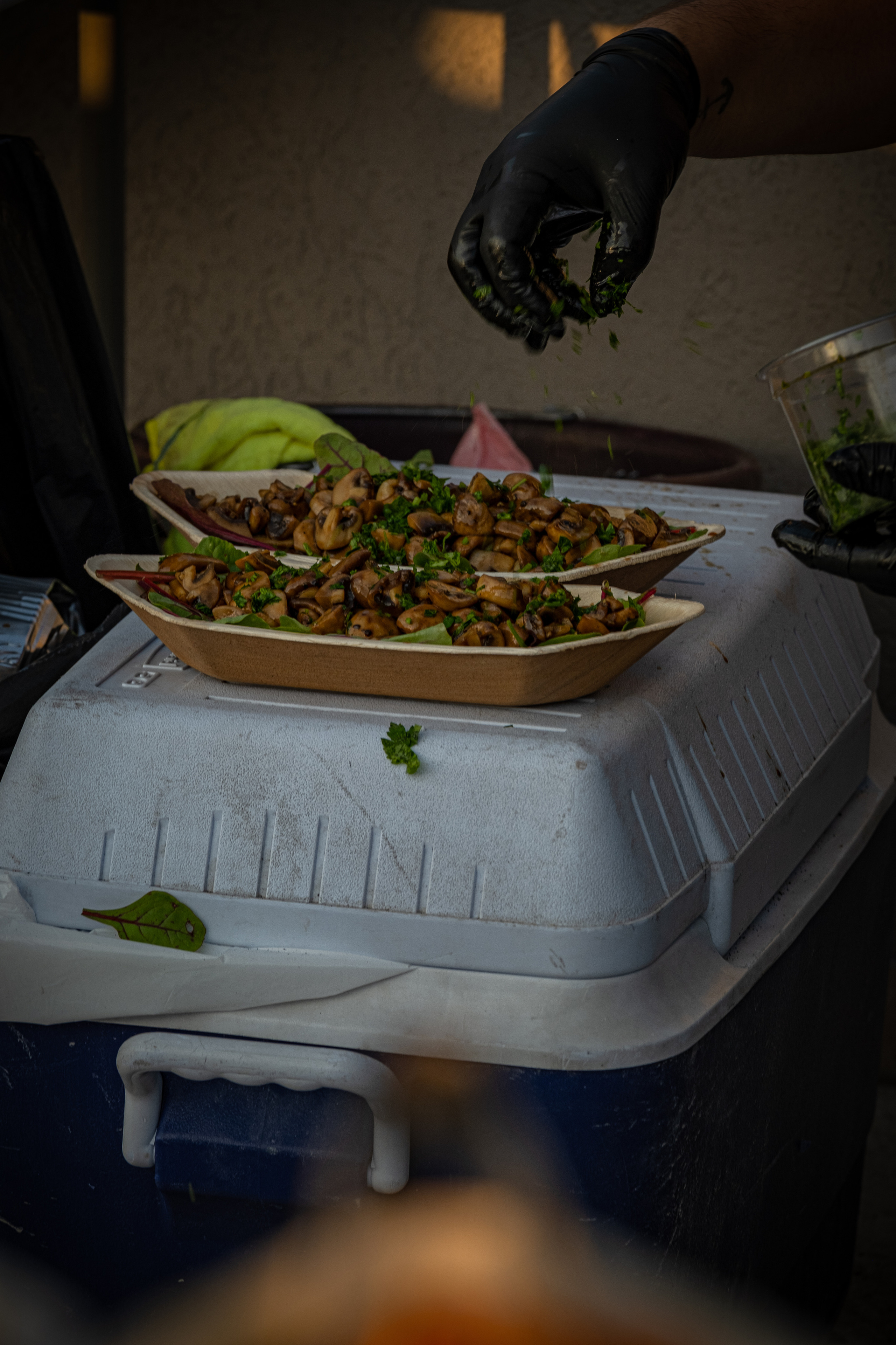 Wedding Party Dara & Adam. Middle East Photo Agency — Weddings, Bar & Bat Mitzvahs, Brit Milah, Theater, Magnets, Portraits