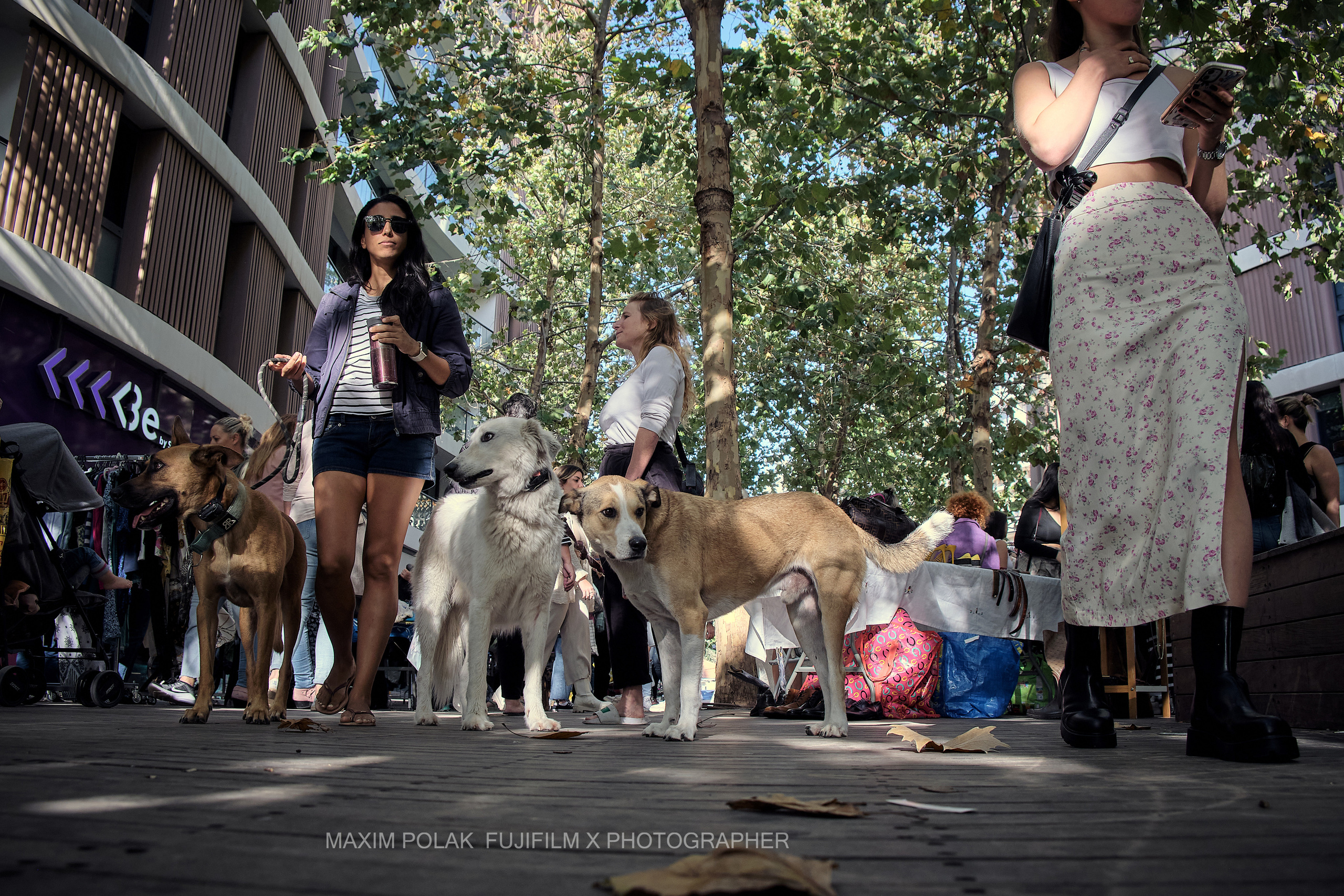Fashion Market Tel Aviv. Middle East Photo Agency סוכנות צילום המזרח התיכון — צילום מקצועי והדפסת מגנטים לאירועים