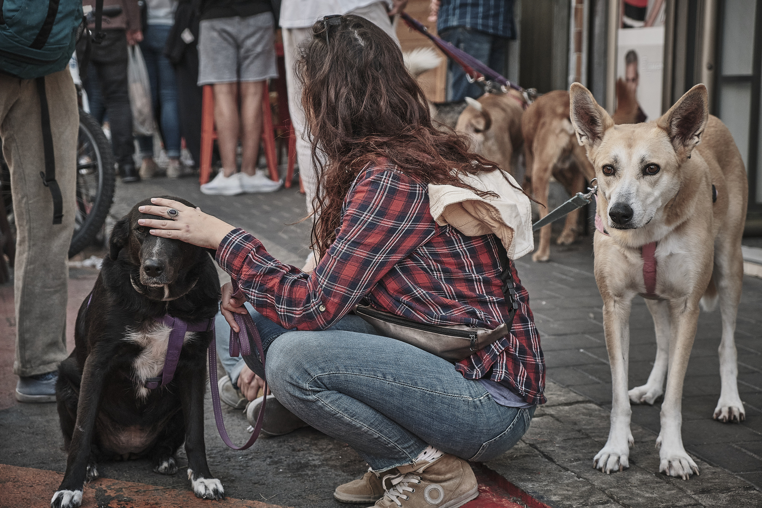 Fashion Market Tel Aviv. Middle East Photo Agency סוכנות צילום המזרח התיכון — צילום מקצועי והדפסת מגנטים לאירועים