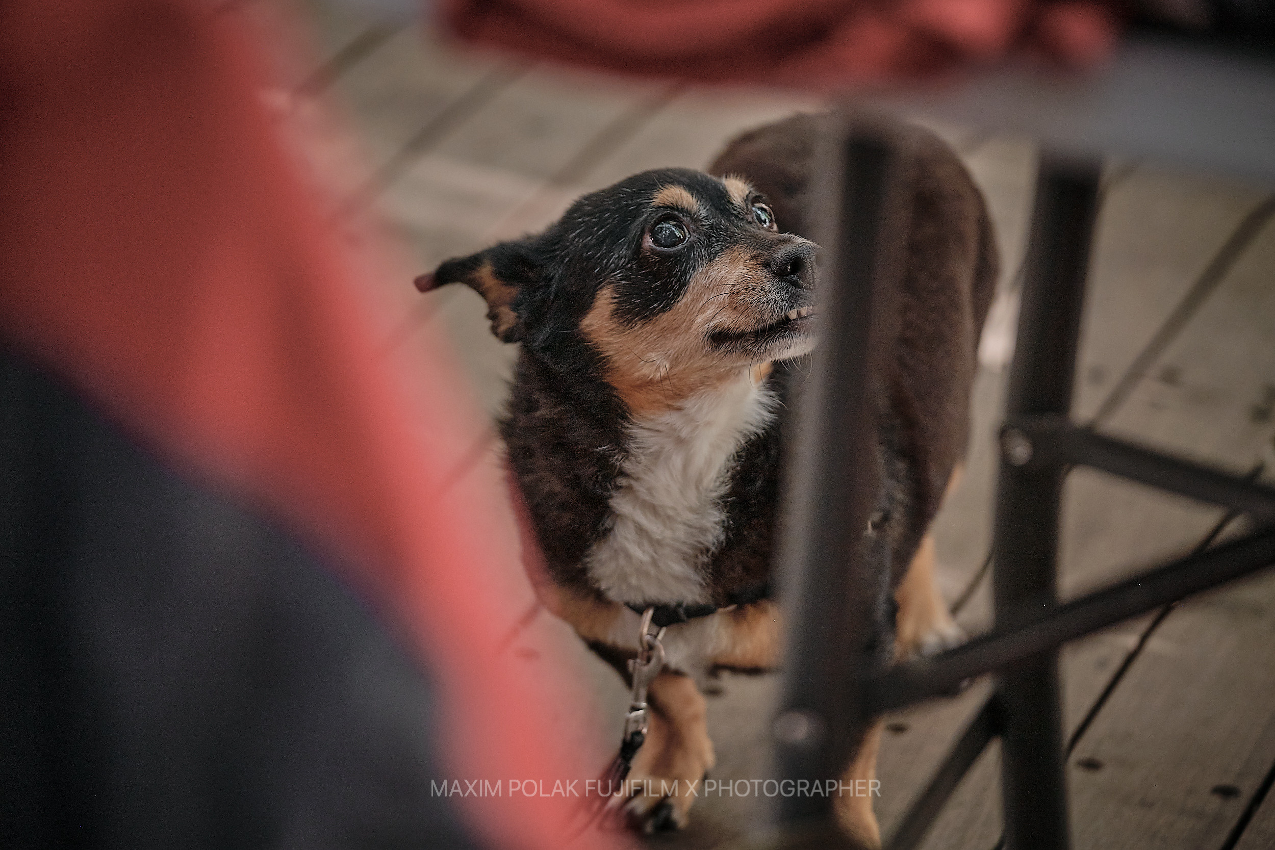 FLORENTINE FASHION MARKET. TEL AVIV COLLECTION. Middle East Photo Agency — Свадьбы, Бар и Бат-мицва, Брит, Театр, Магниты, Портреты