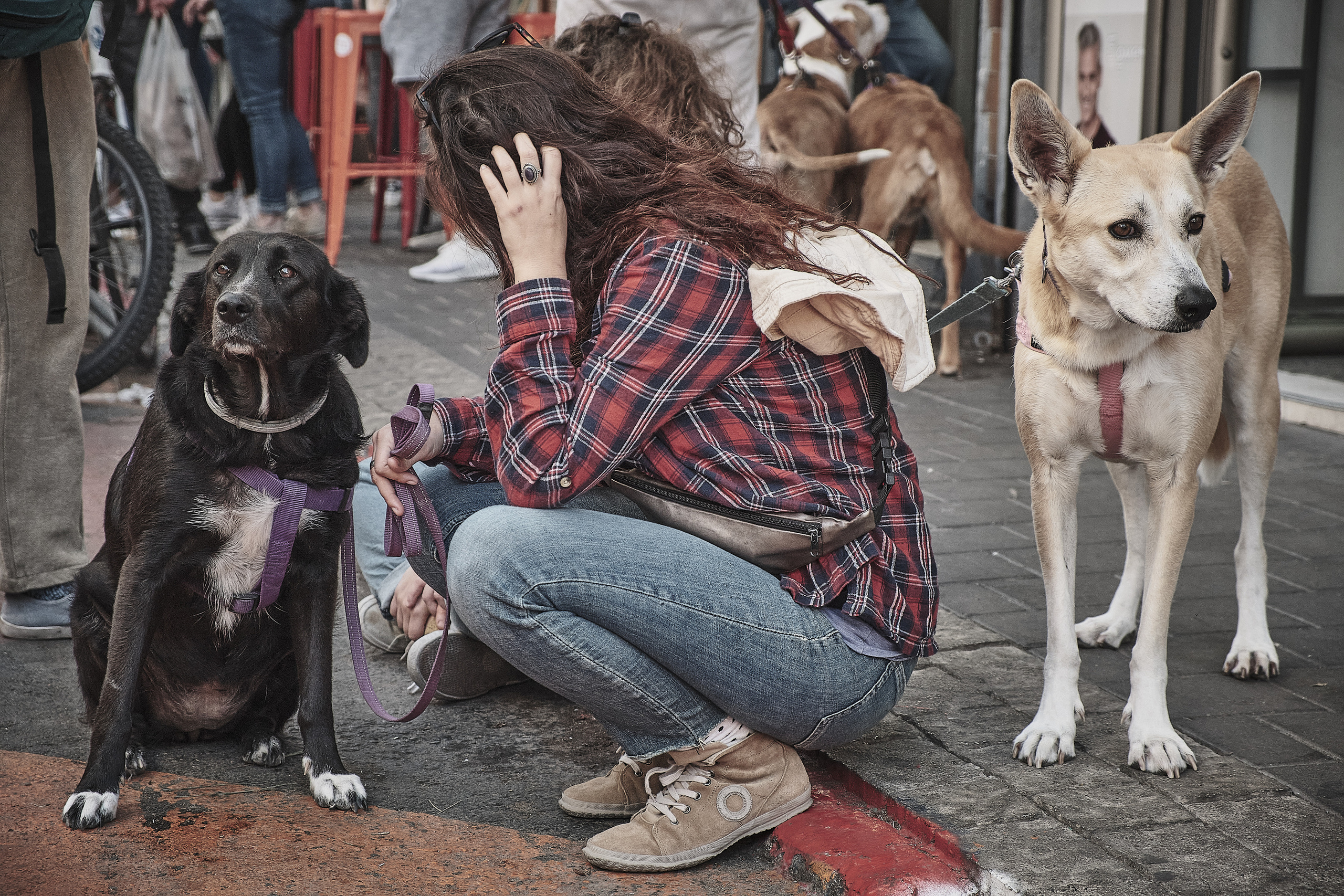 Fashion Market Tel Aviv. Middle East Photo Agency סוכנות צילום המזרח התיכון — צילום מקצועי והדפסת מגנטים לאירועים