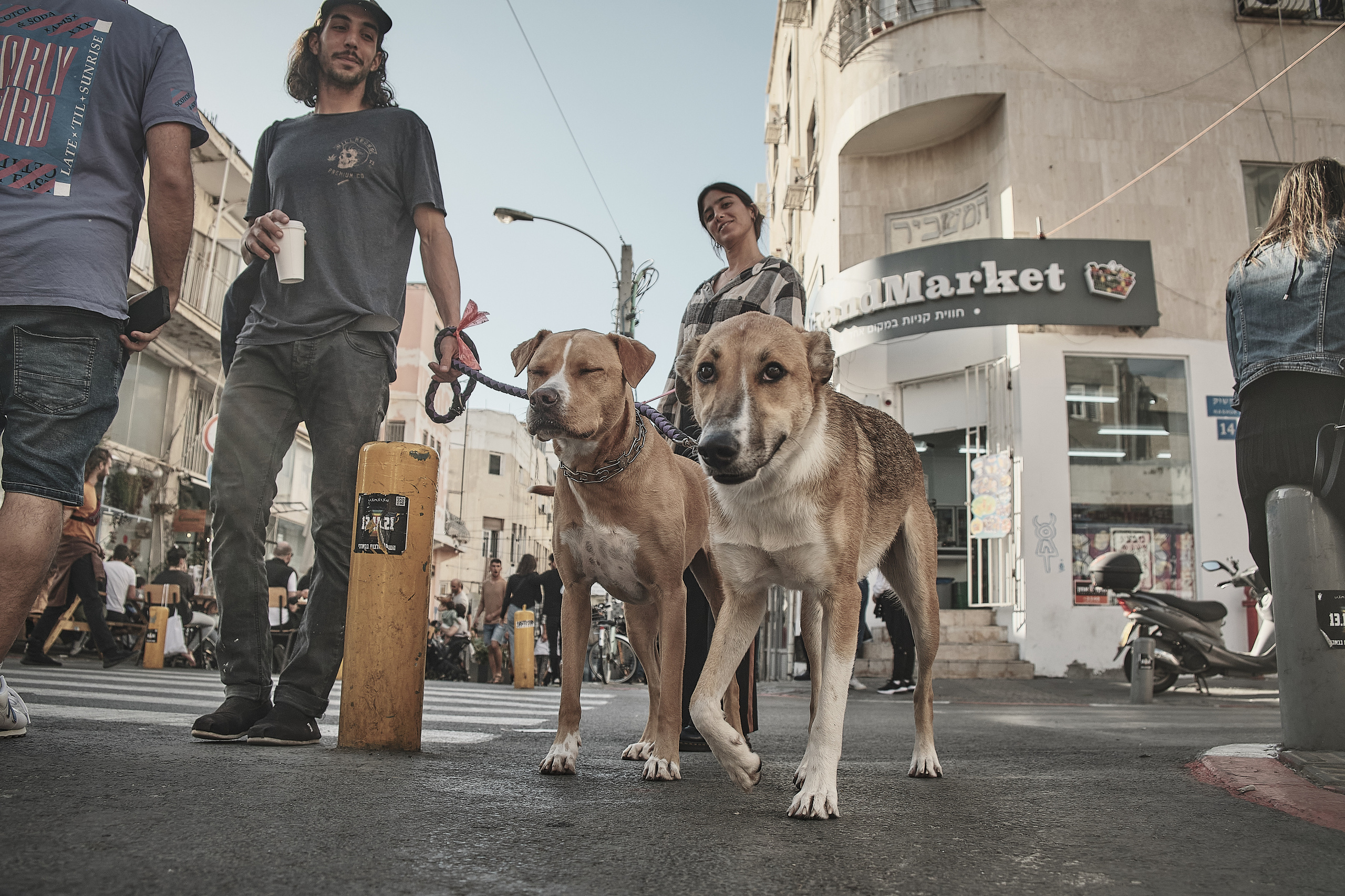 Fashion Market Tel Aviv. Middle East Photo Agency סוכנות צילום המזרח התיכון — צילום מקצועי והדפסת מגנטים לאירועים