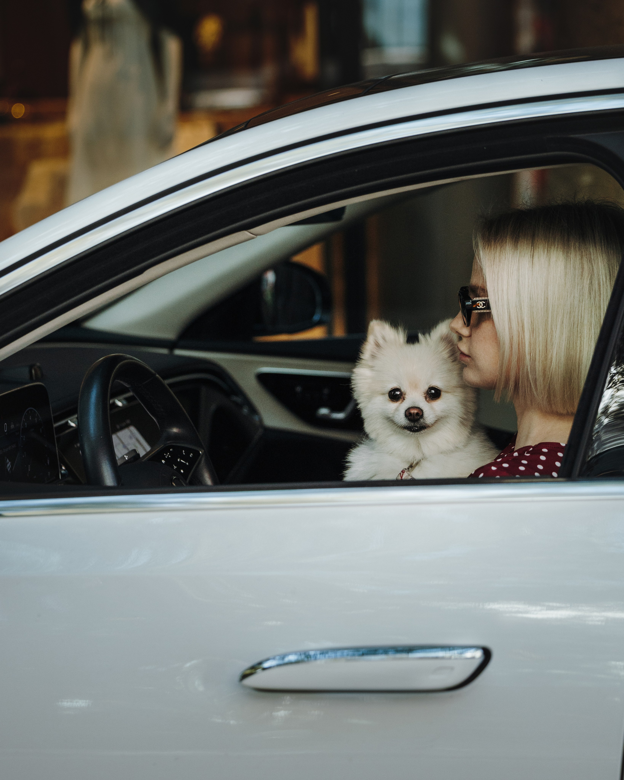 Lexy & Tatiana. Pet Photographer Viktoriya Aleshenko