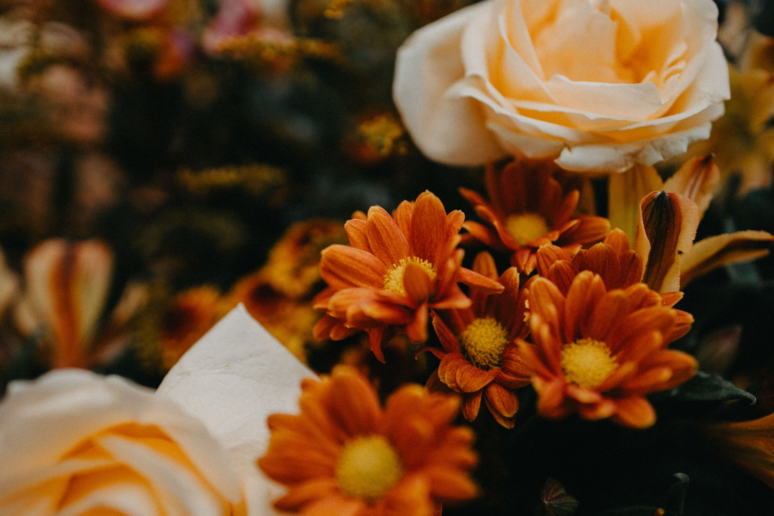 C & H — Leve, calmo e romântico. Fotografia de casamento em Belo Horizonte