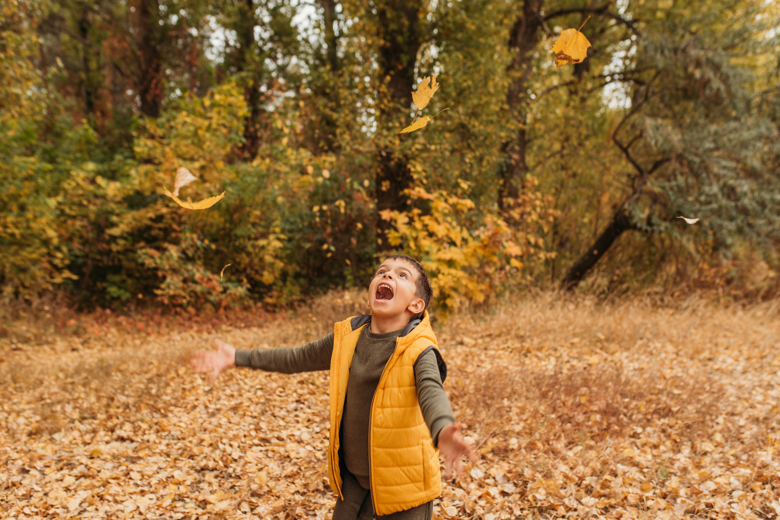 Herbst im Central Park. Familien- und Hochzeitsfotografin. Ich arbeite in Koblenz und Rheinlan