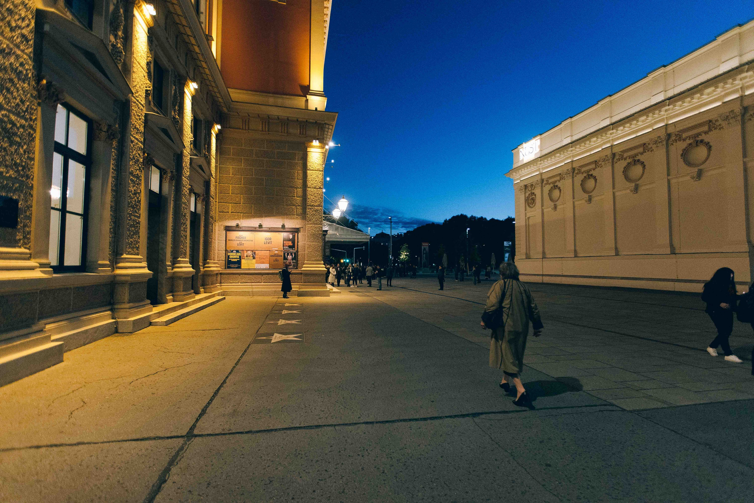 MUSIKVEREIN (VIENNA). Wedding&Event photographer Ismail Rzayev in Baku