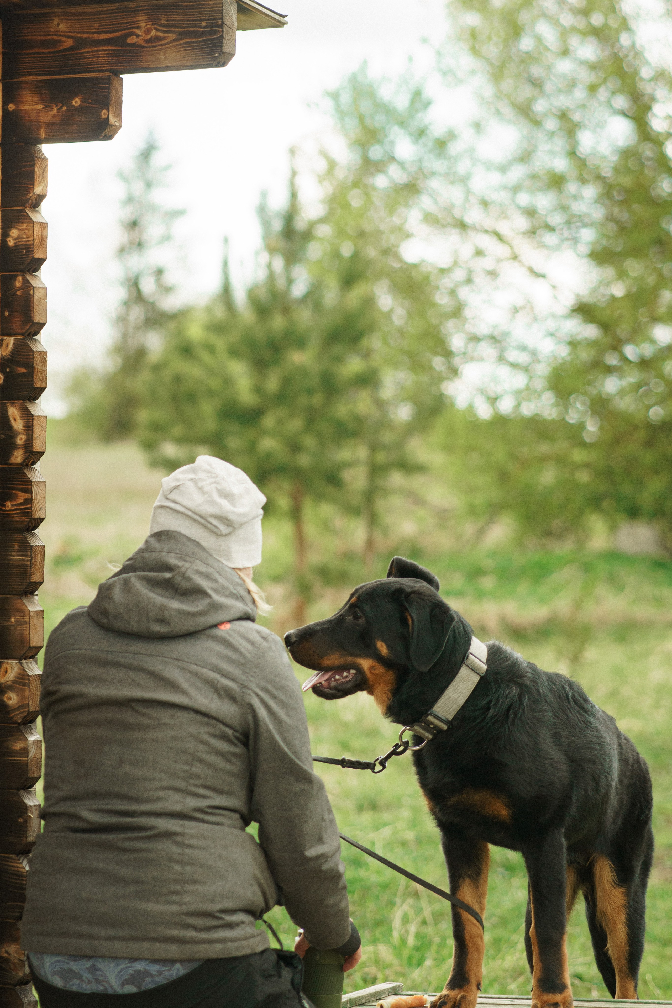 Herding Days, 26 apr. 2025. Kat Laisaar — Pet photographer in Tallinn