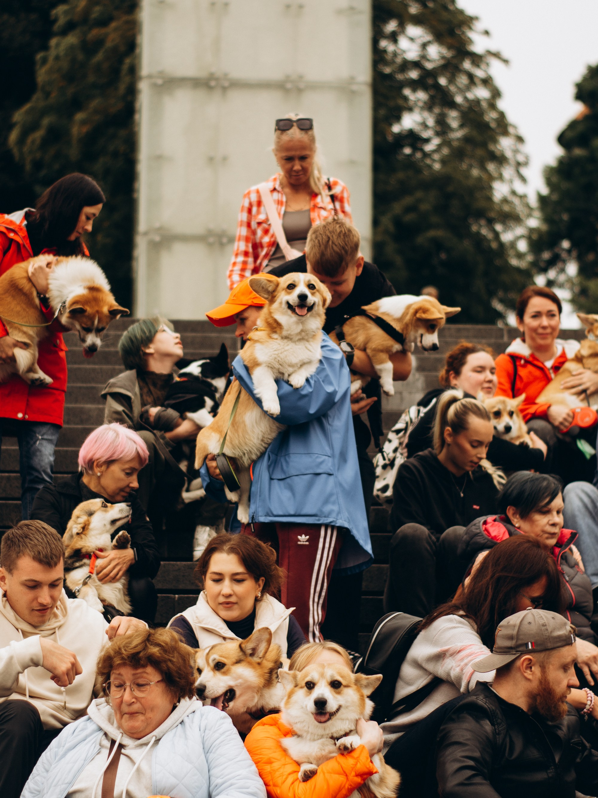 Corgi party, september. Kat Laisaar — Pet photographer in Tallinn