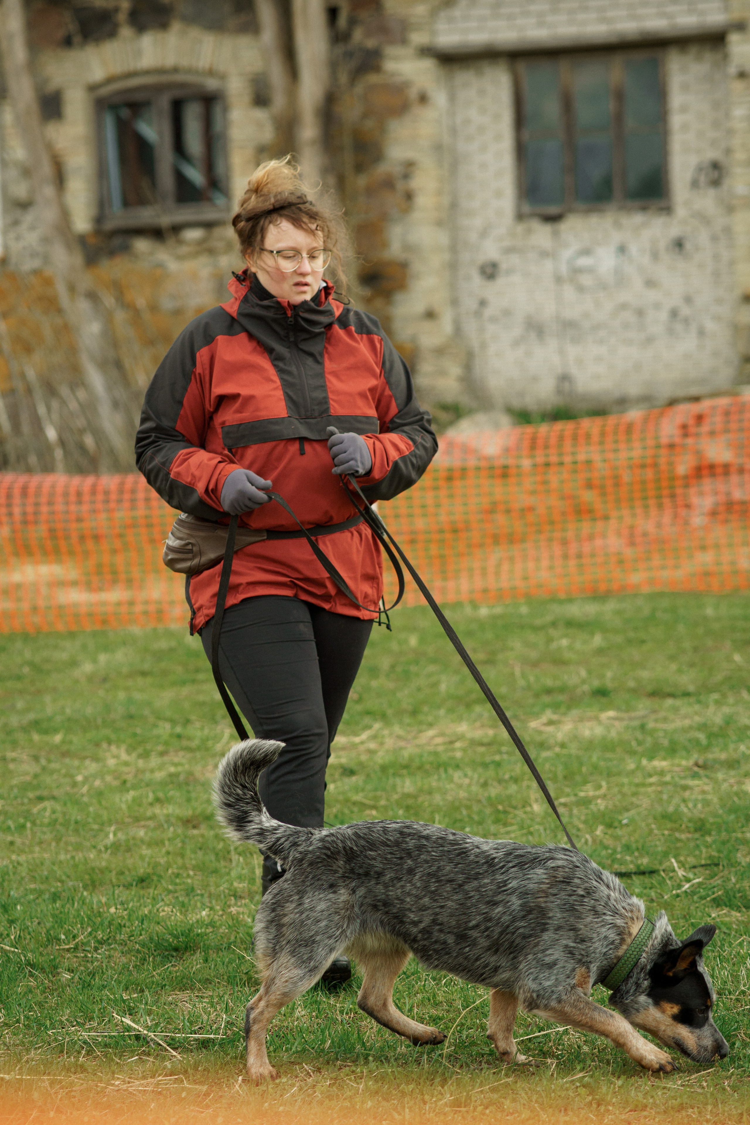 Herding Days, 26 apr. 2025. Kat Laisaar — Pet photographer in Tallinn