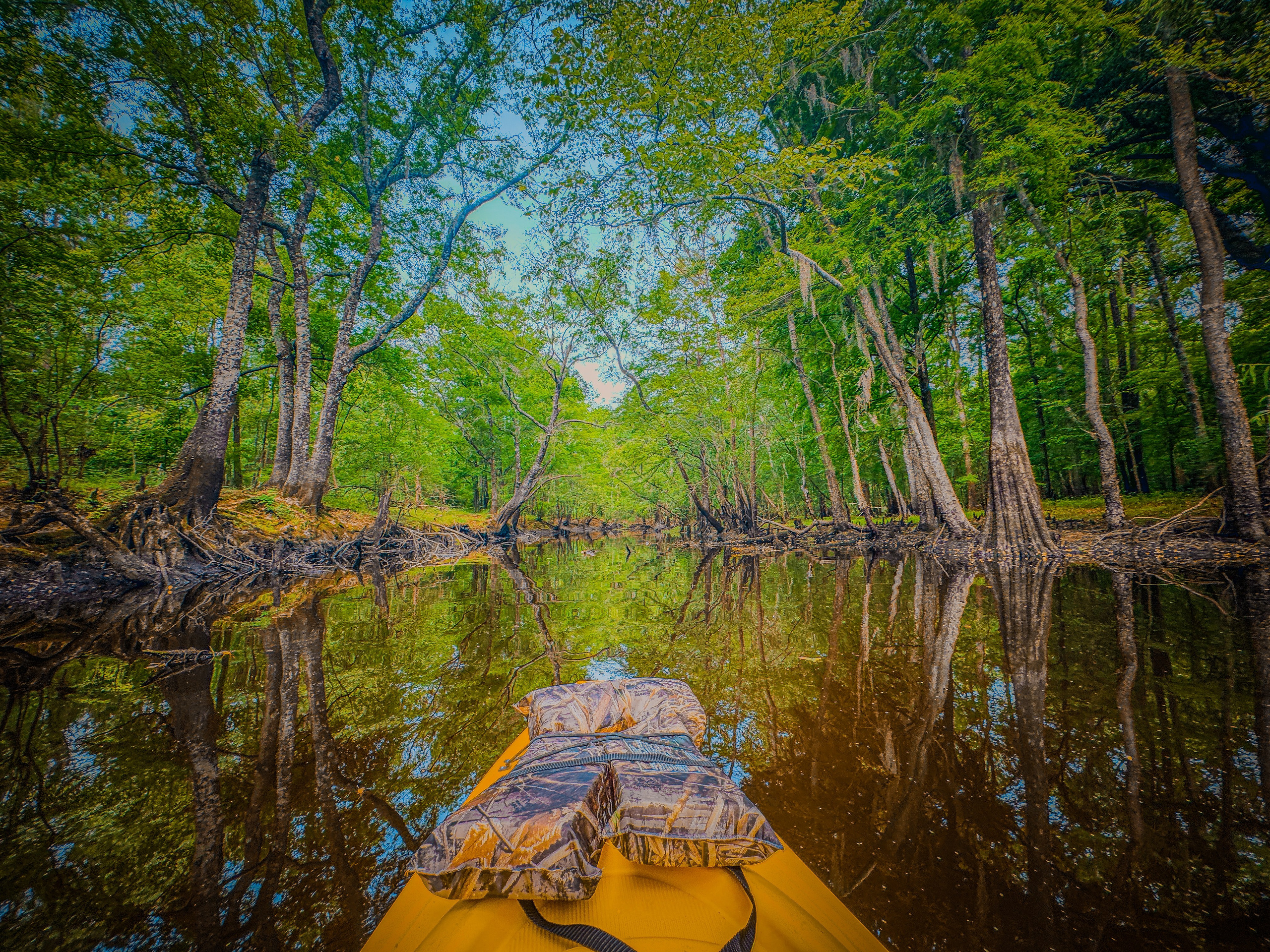 Travel + Nature. Travel and family photographer in South Carolina