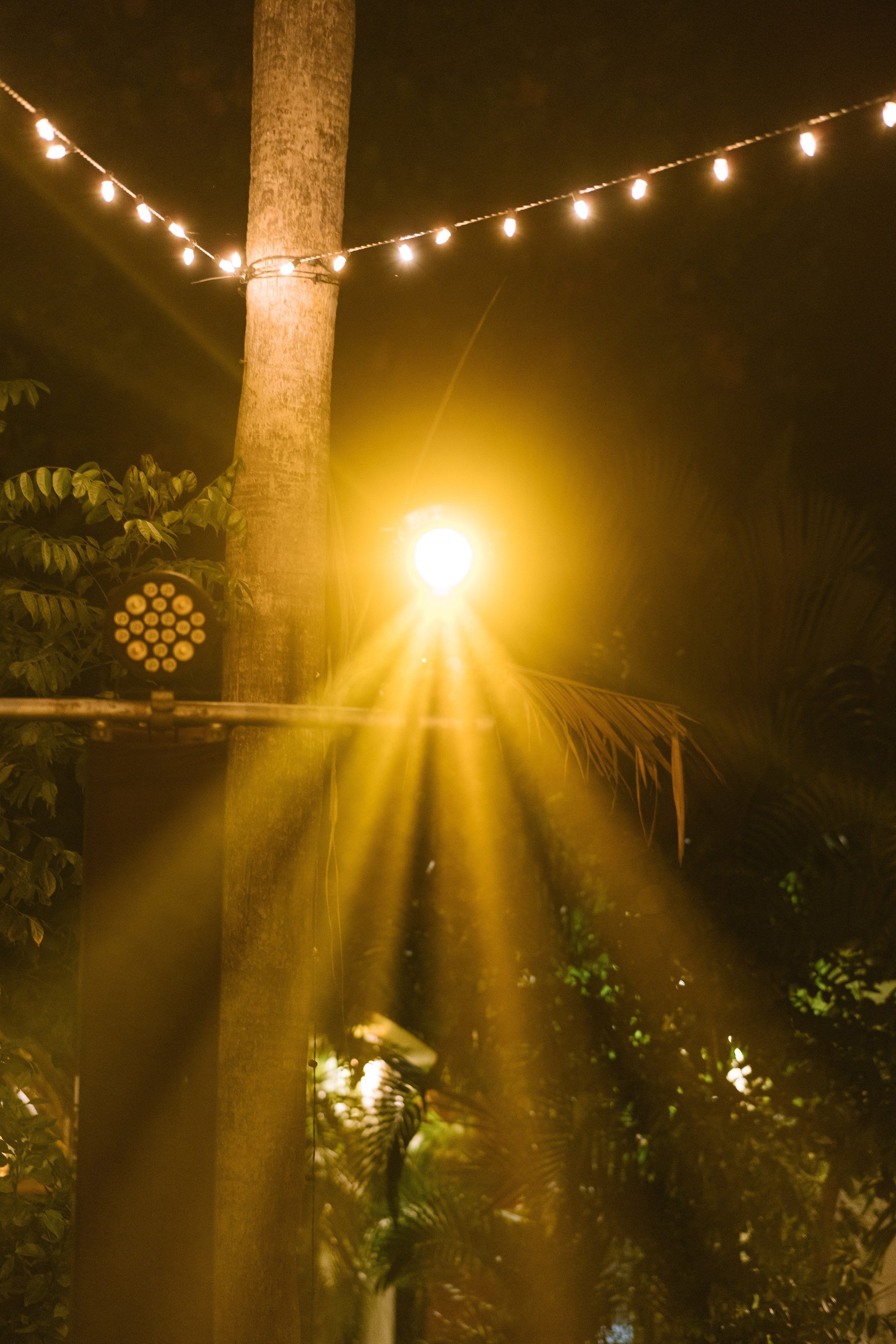 Martoca Beach Garden. Wedding photographer Mexico Sayulita Puerto Vallarta Punta Mita Cabo