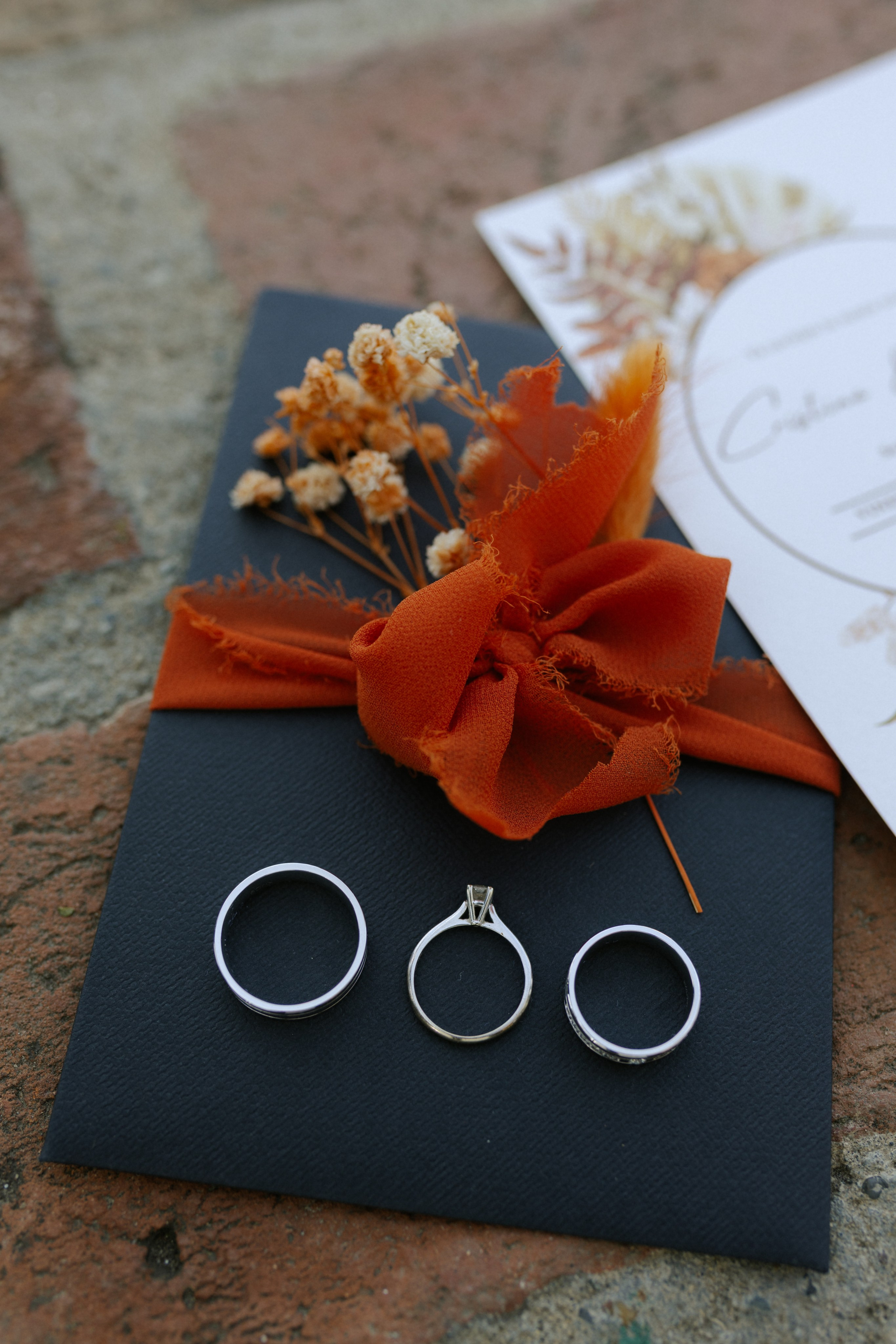 Wedding at Province Timisoara | Cristina & Robert. Wedding photographer and videographer based in Timisoara, Romania